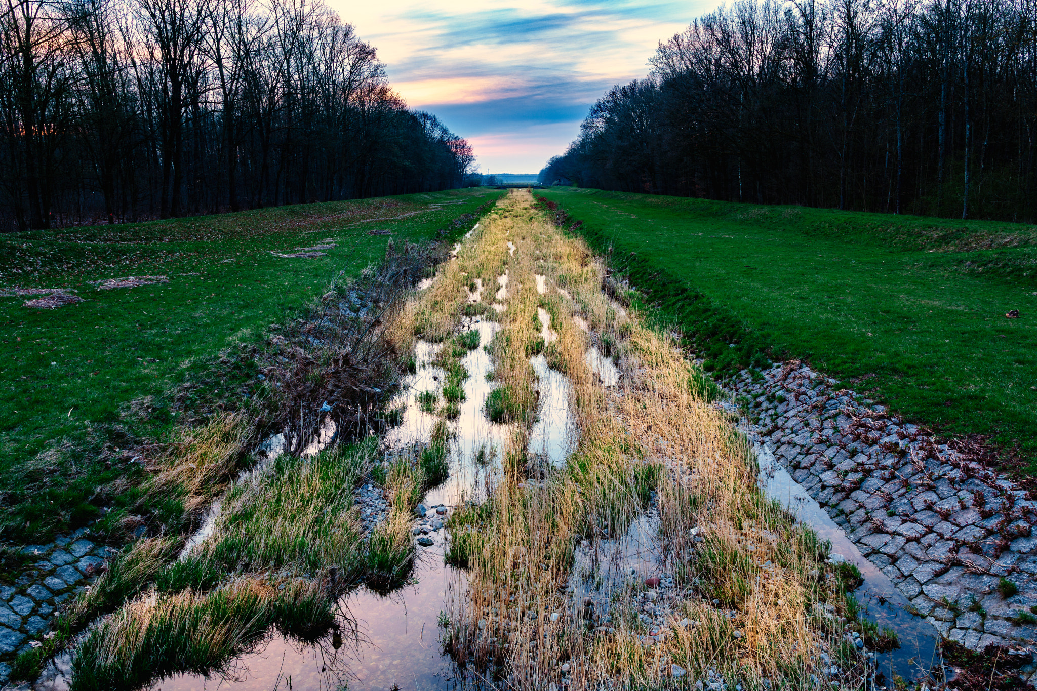 Nikon D500 sample photo. Die rench nach dem hochwasser photography