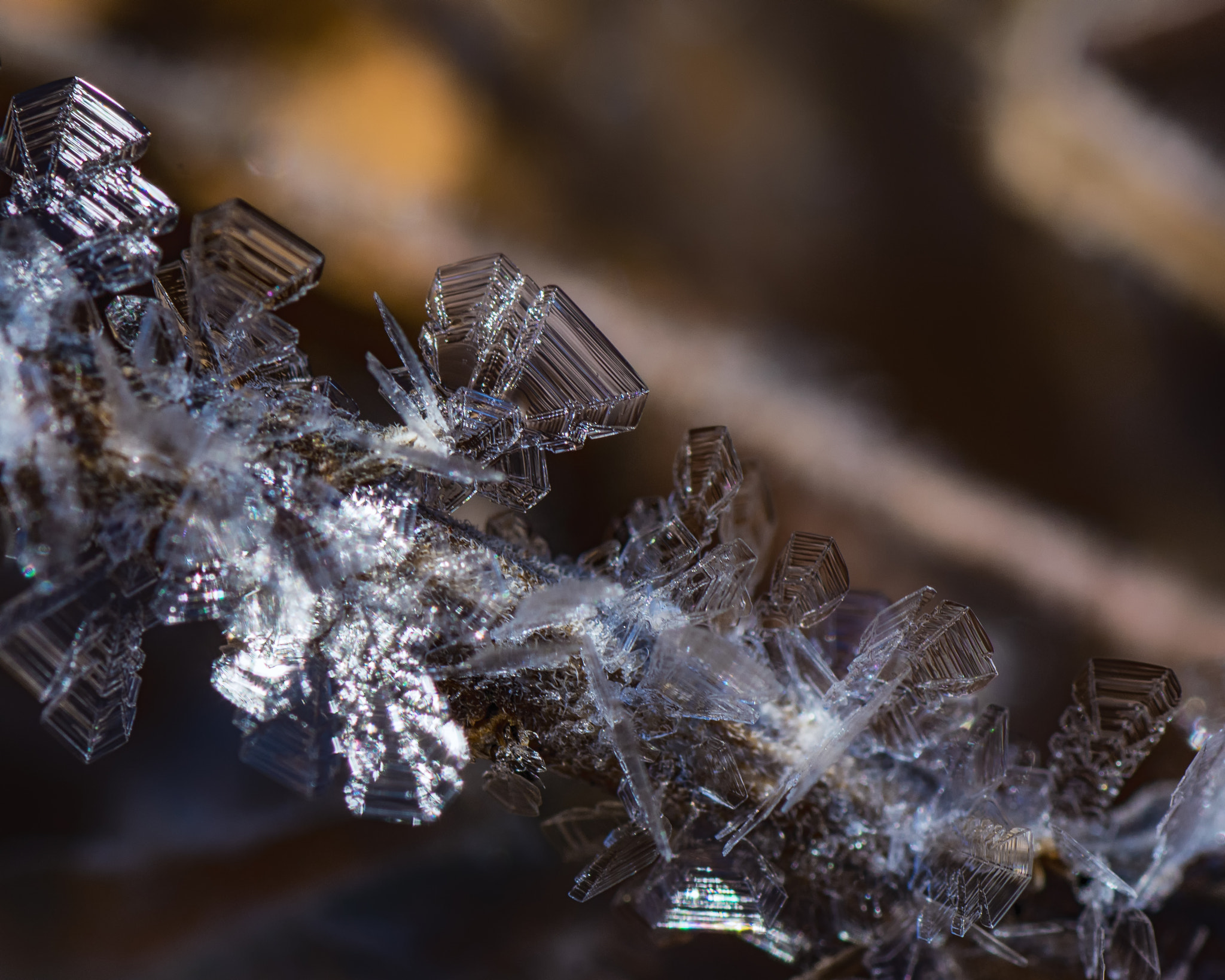 Nikon D7200 sample photo. Frost detail 3 photography