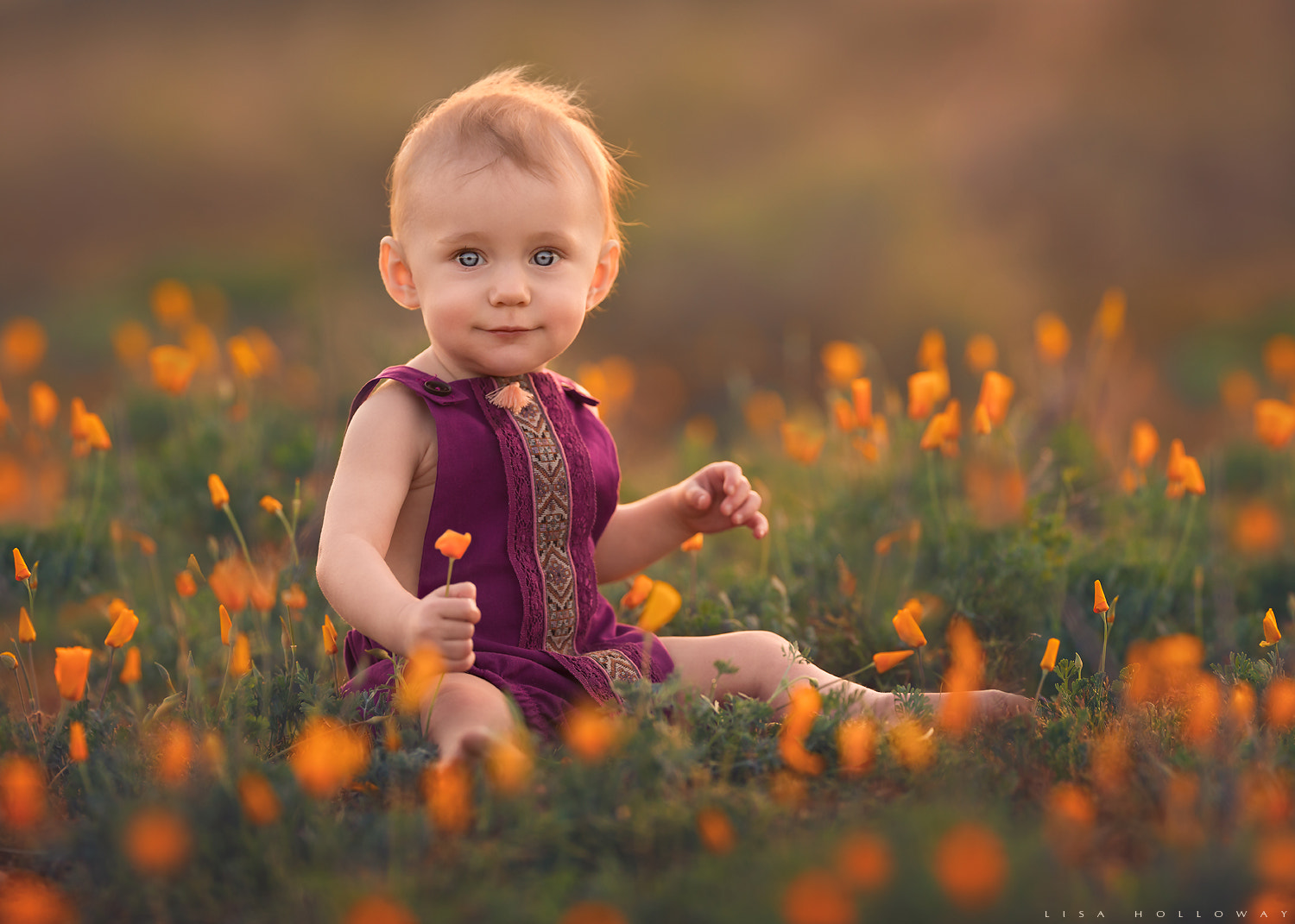 Canon EF 200mm F2L IS USM sample photo. Picking poppies photography