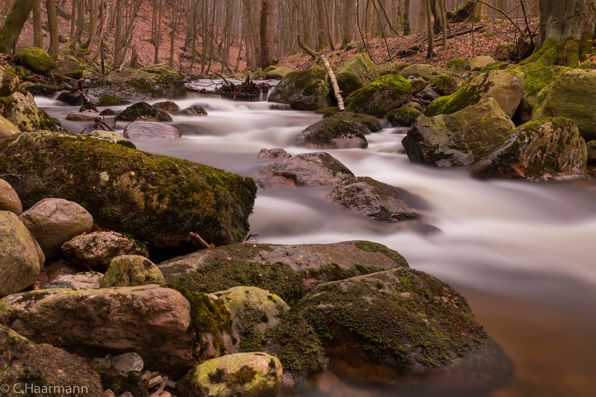 Canon EOS 70D + Sigma 24-70mm F2.8 EX DG Macro sample photo. Am fuße des brocken im harz  photography