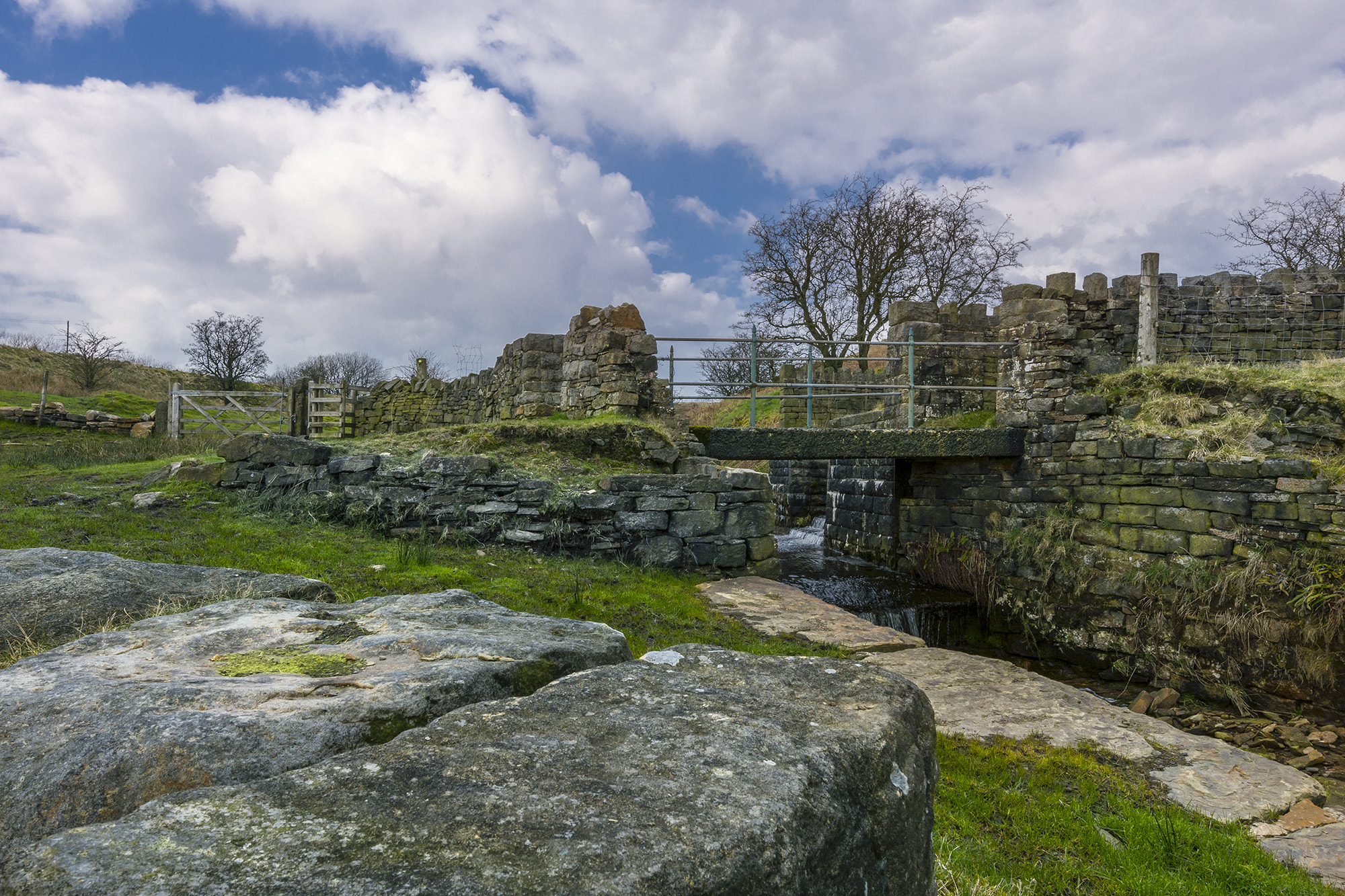 Nikon AF-S Nikkor 14-24mm F2.8G ED sample photo. Bridge over a little stream photography