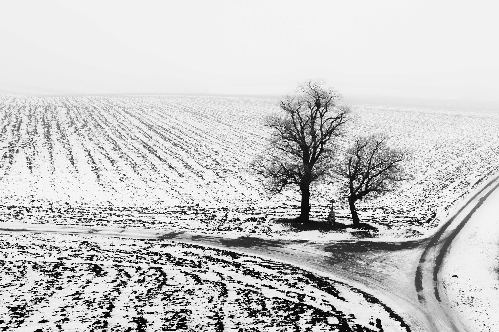 Sony SLT-A58 sample photo. Moravia - vineyard photography