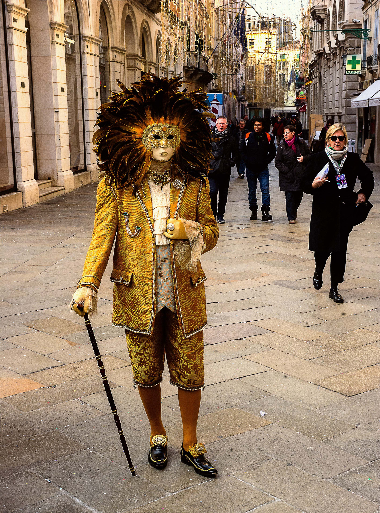Nikon AF-S Nikkor 28-70mm F2.8 ED-IF sample photo. Carnevalevenezia 2017 photography