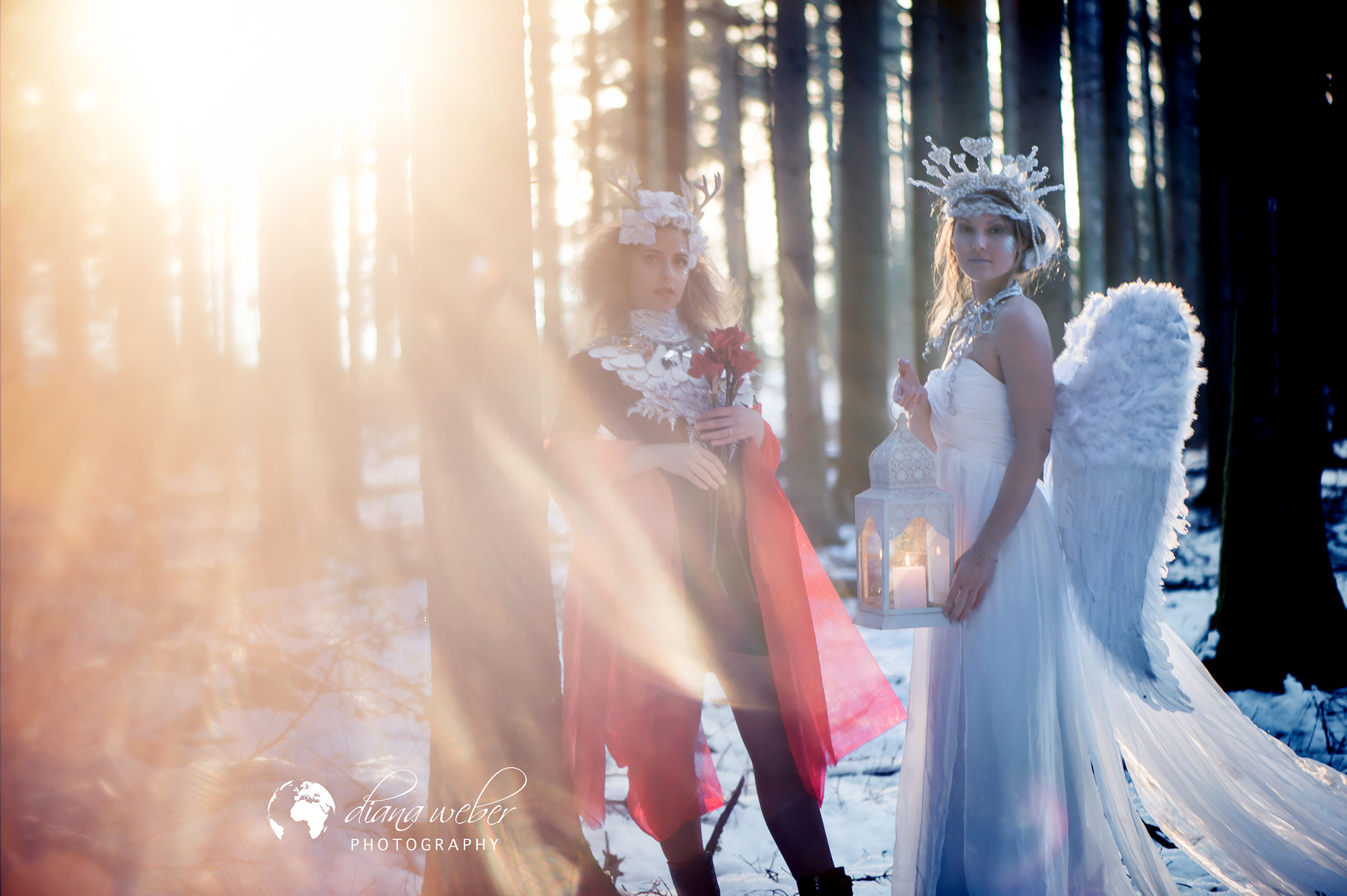 Nikon AF-S Micro-Nikkor 105mm F2.8G IF-ED VR sample photo. In the forest photography