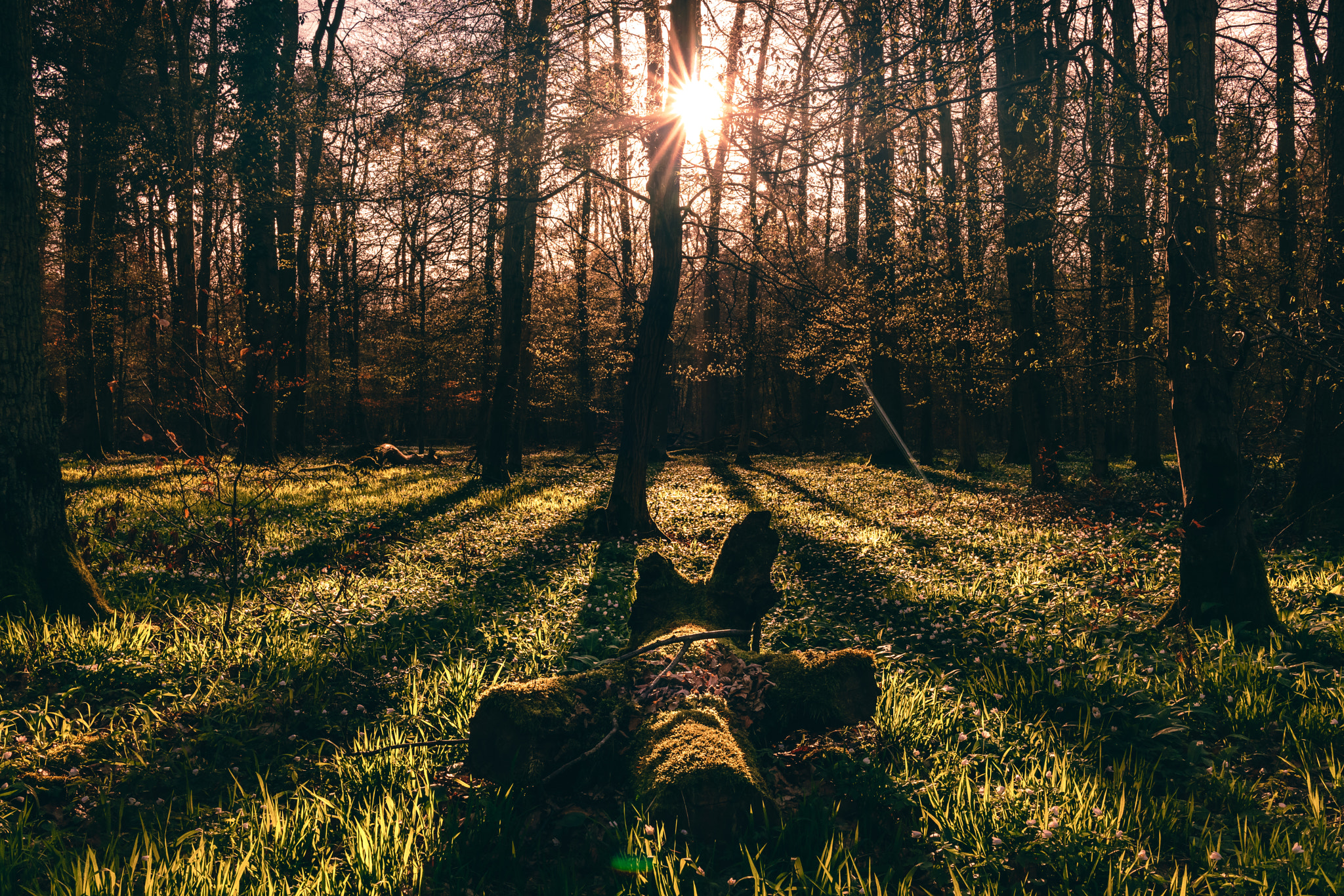 35mm F2.0 sample photo. Last light photography