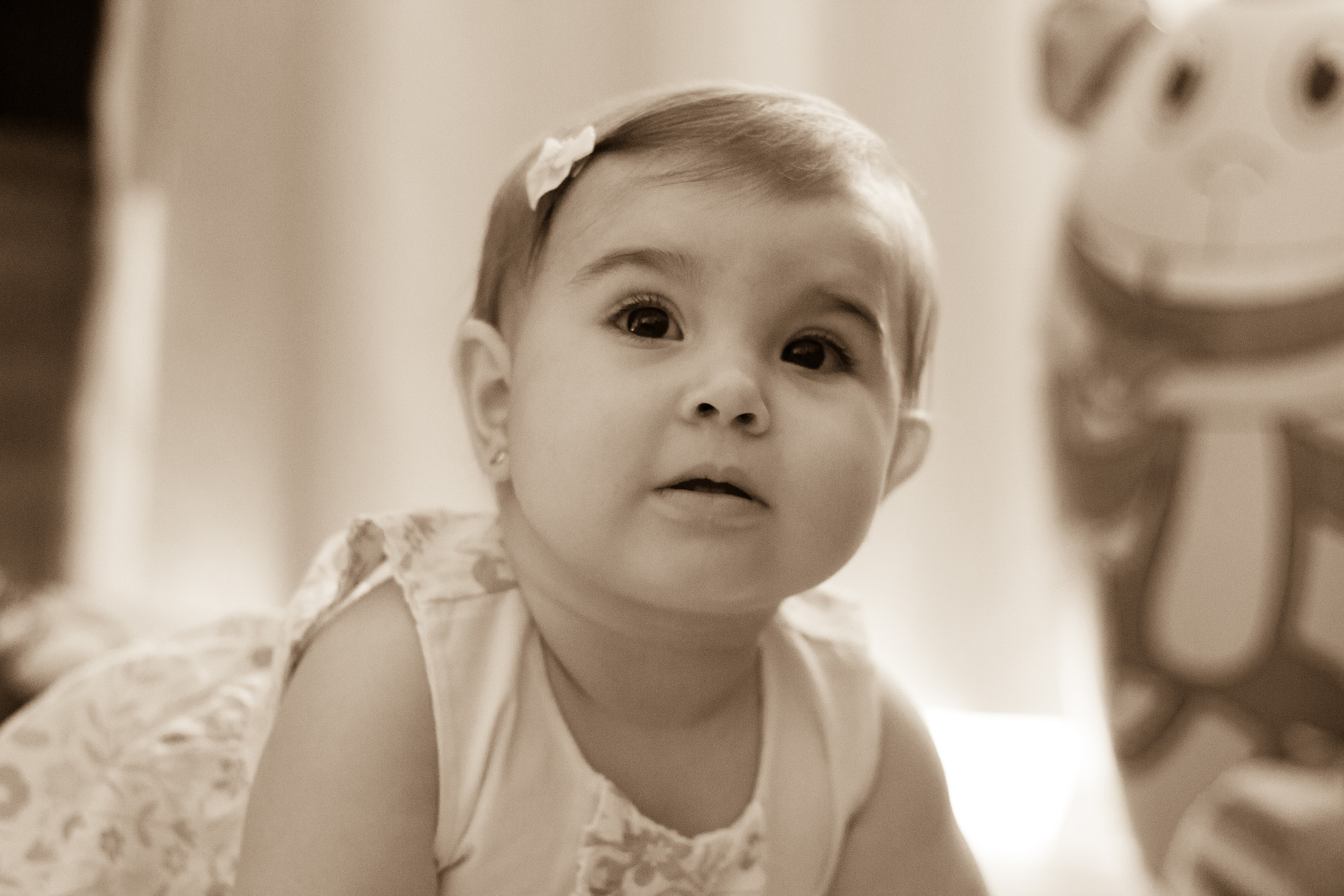 Canon EF 50mm F1.8 II sample photo. Img photography