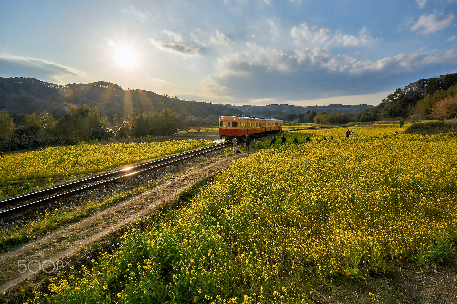 Sony a6000 sample photo. 小湊鉄道 石神の菜の花畑 photography