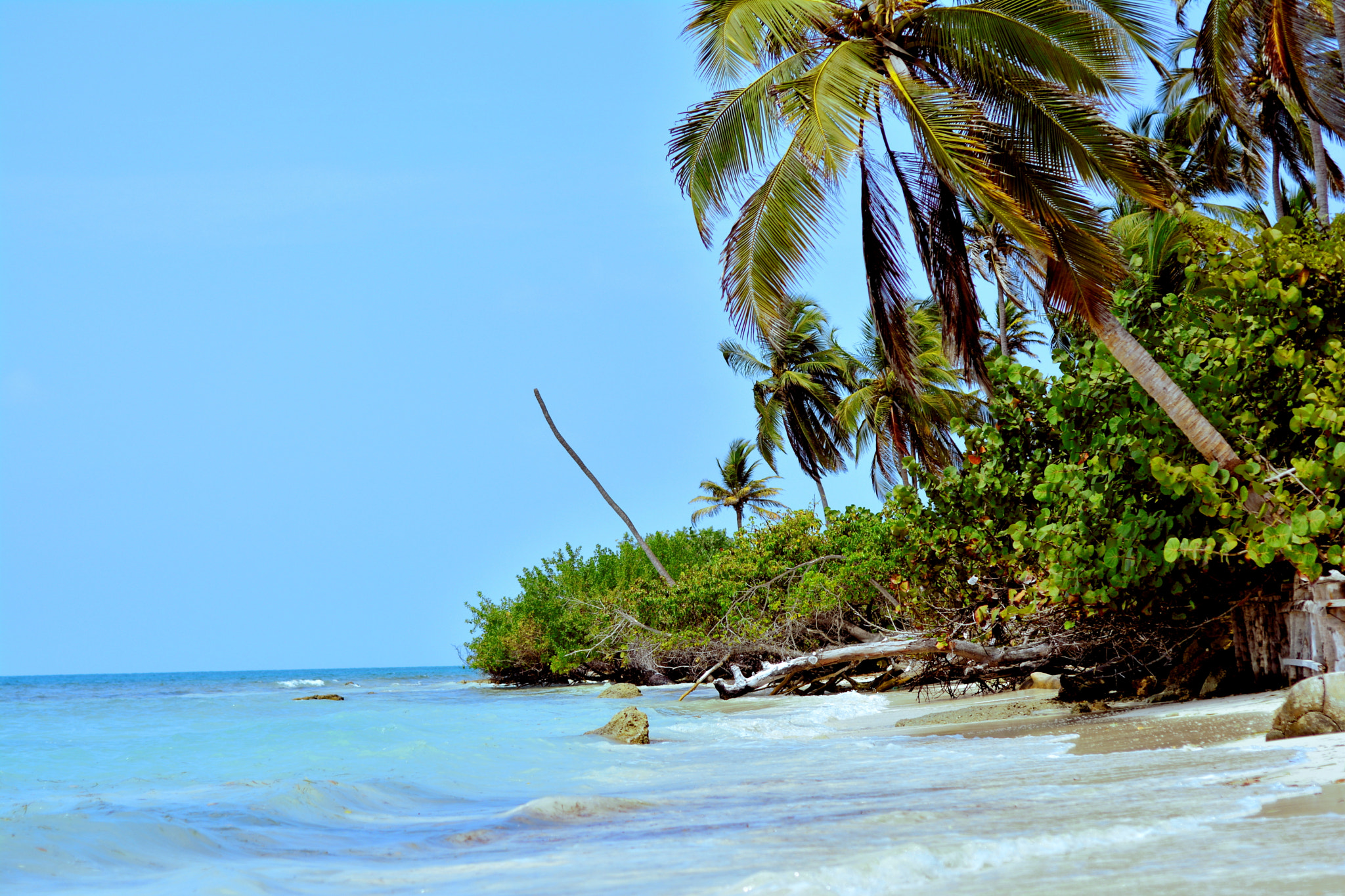 Nikon D5200 sample photo. Isla mucura photography