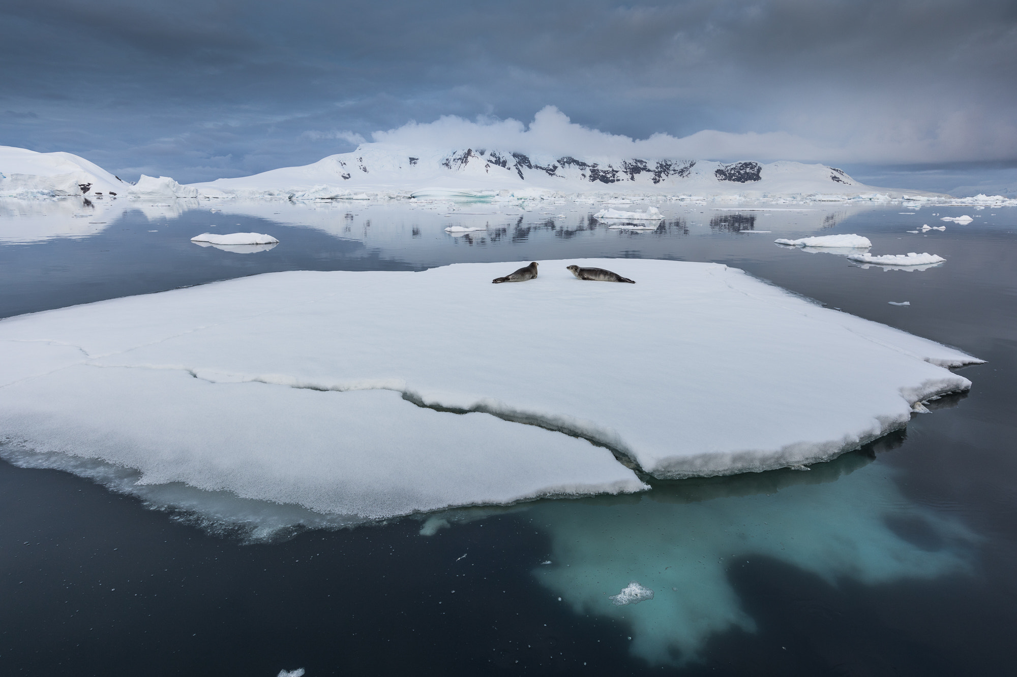 Canon EF 11-24mm F4L USM sample photo. Gerlache strait - 41165 photography