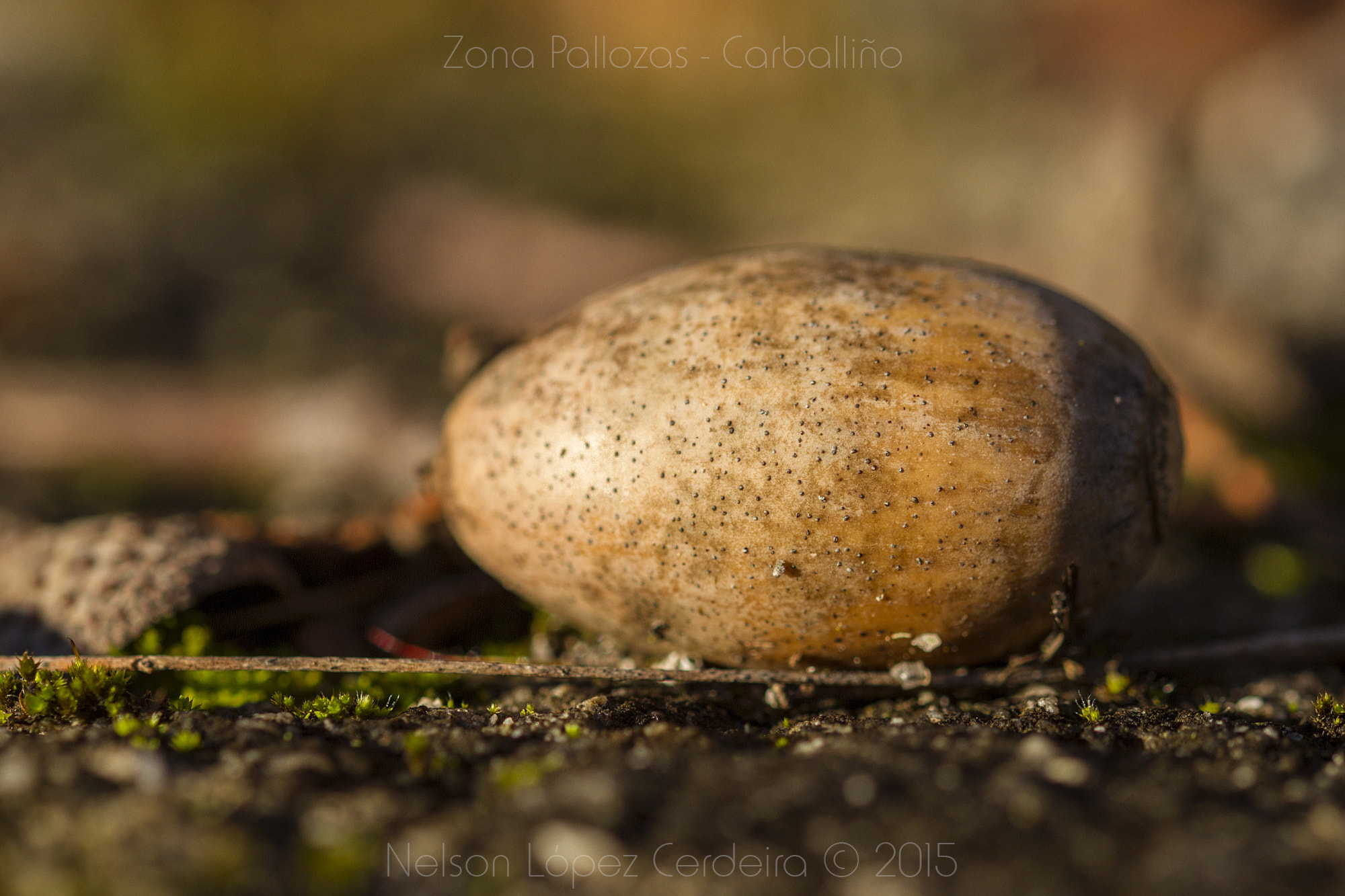 Canon EOS 7D sample photo. Zona_pallozas_16 photography