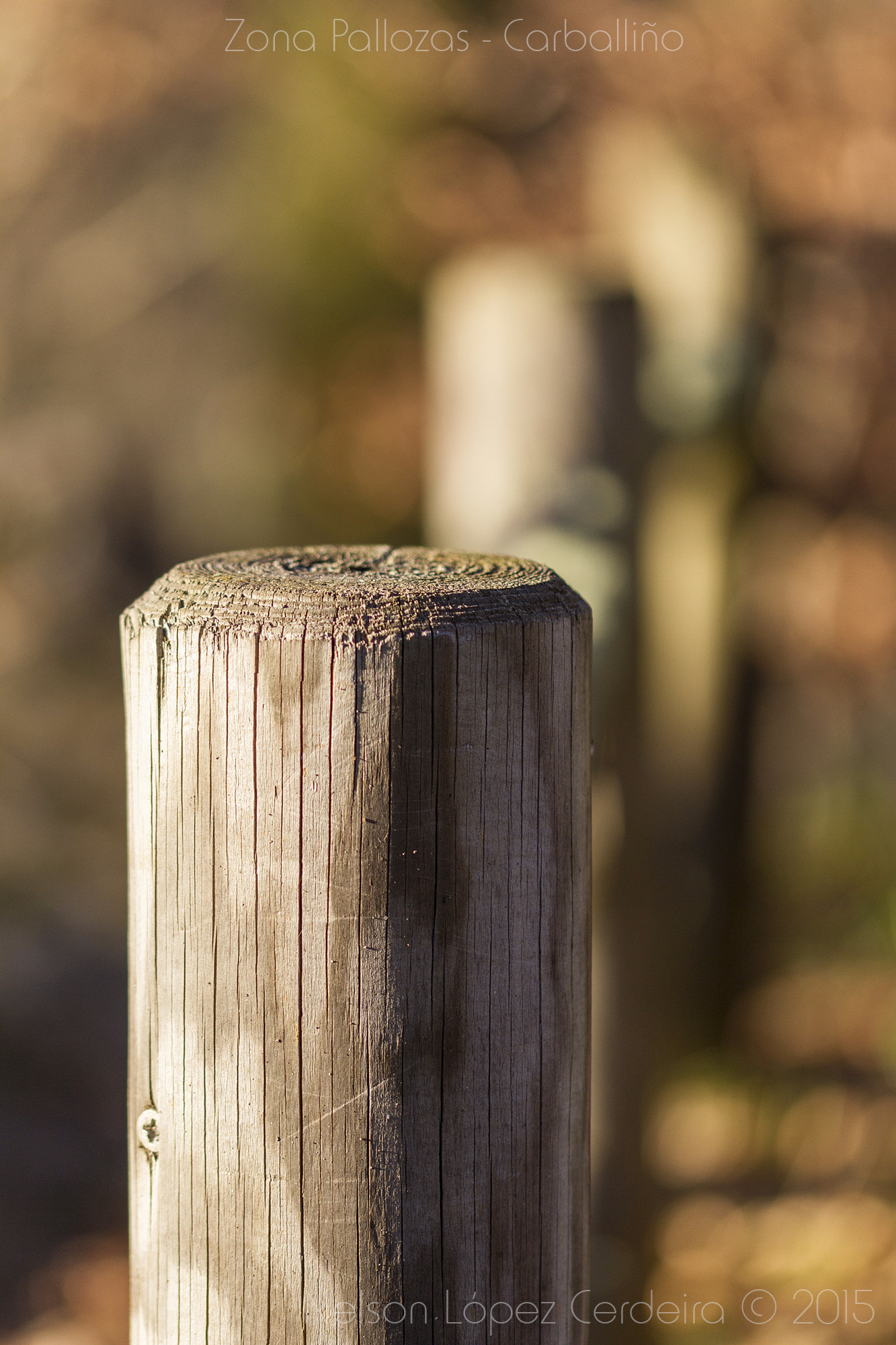 Sigma 105mm F2.8 EX DG OS HSM sample photo. Zona_pallozas_18 photography