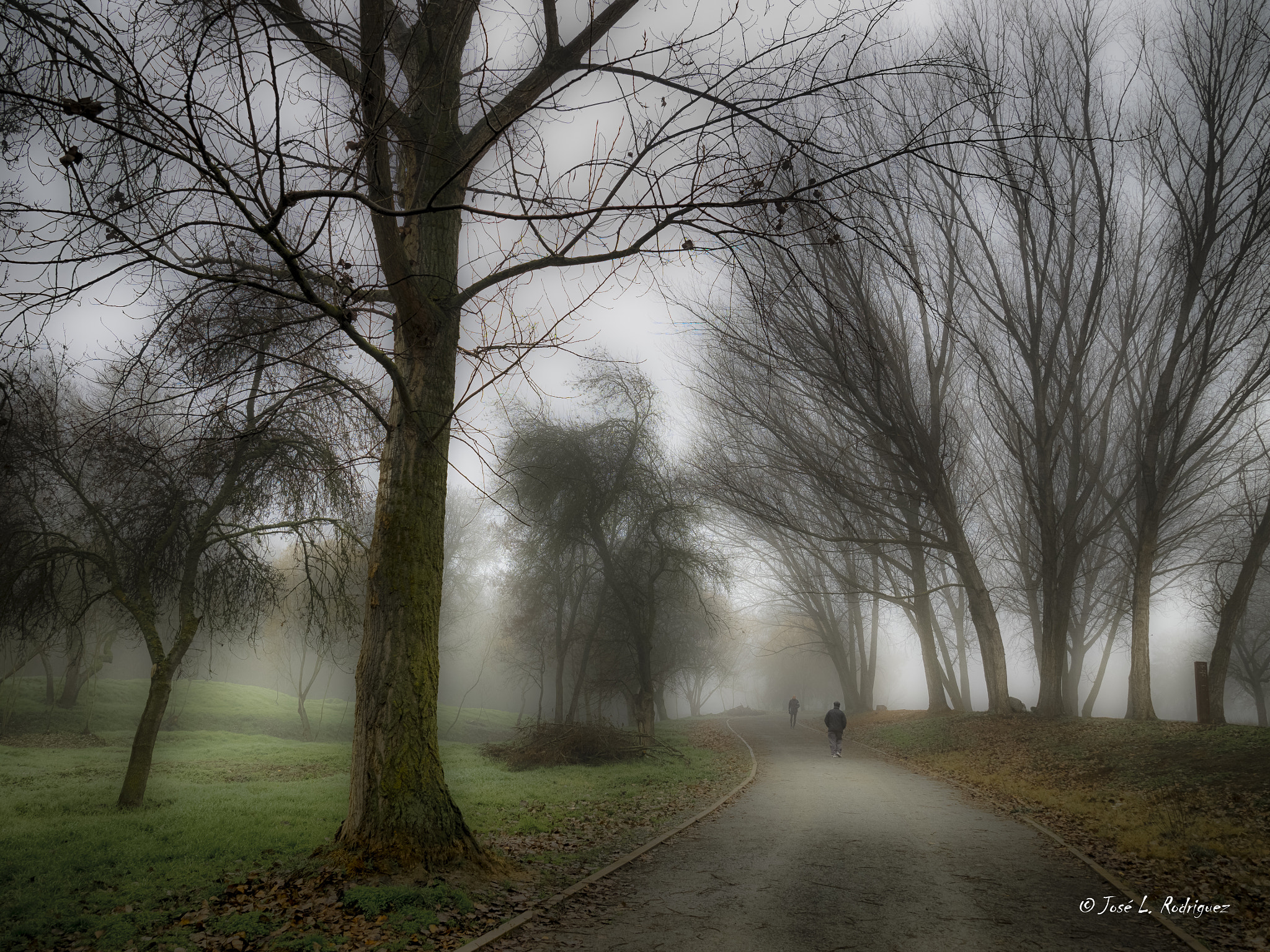 Olympus OM-D E-M1 sample photo. Camino en la niebla. photography