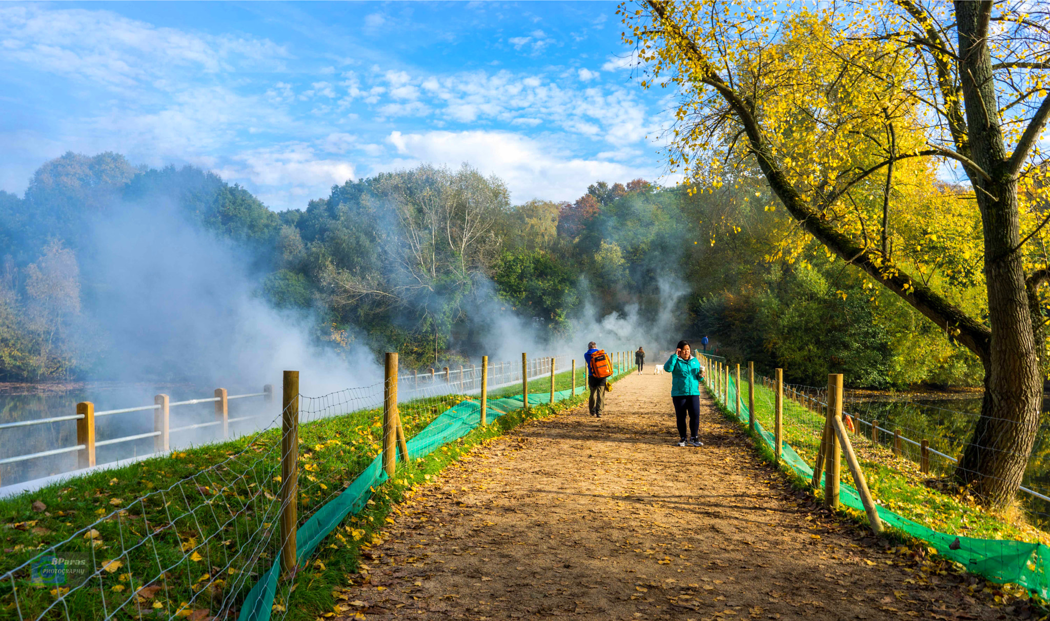 Sony a7 II sample photo. Hampstead park photography