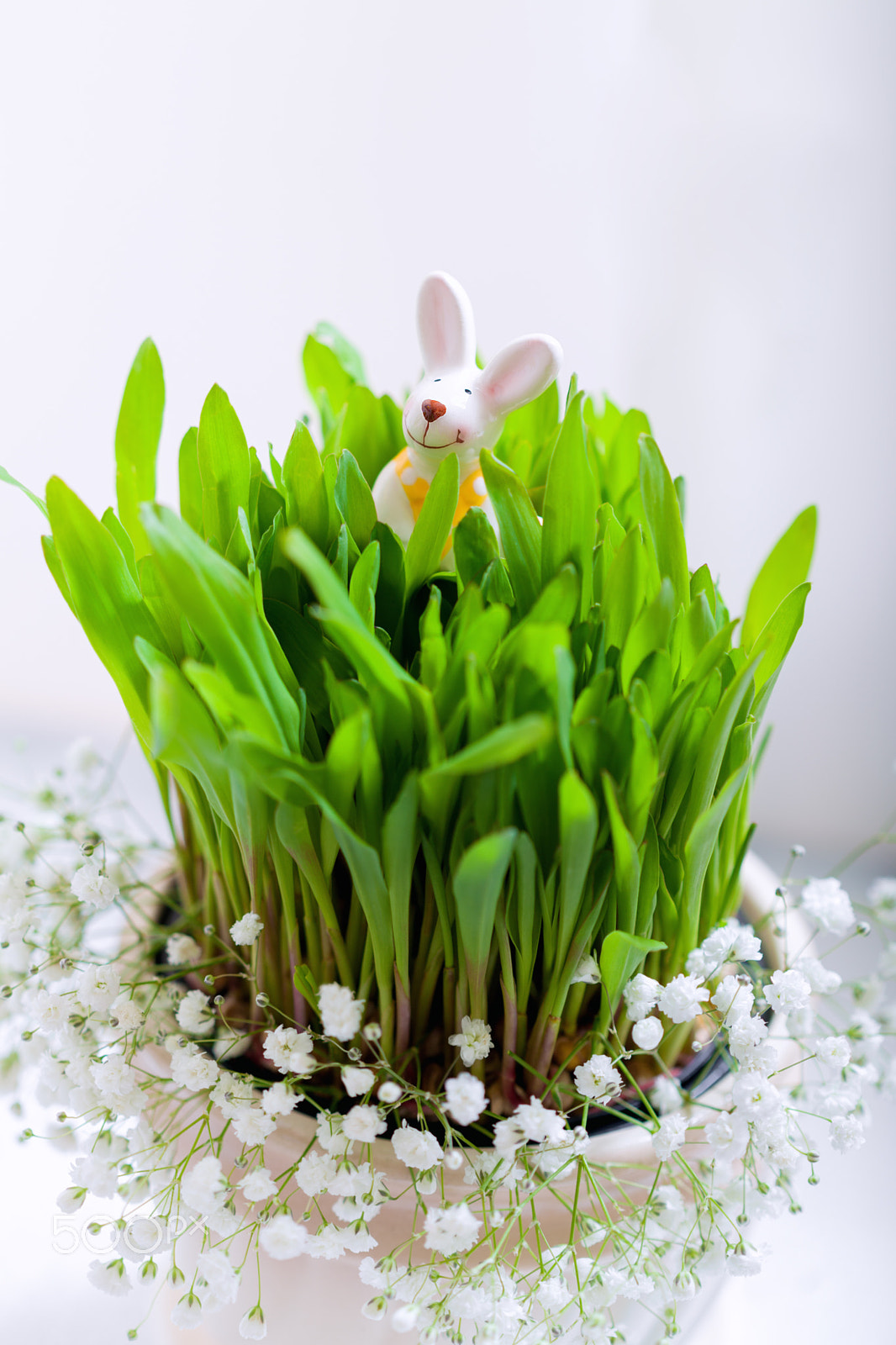 Canon EOS 5D Mark II sample photo. Bunny, eggs and white flowers easter symbols. photography