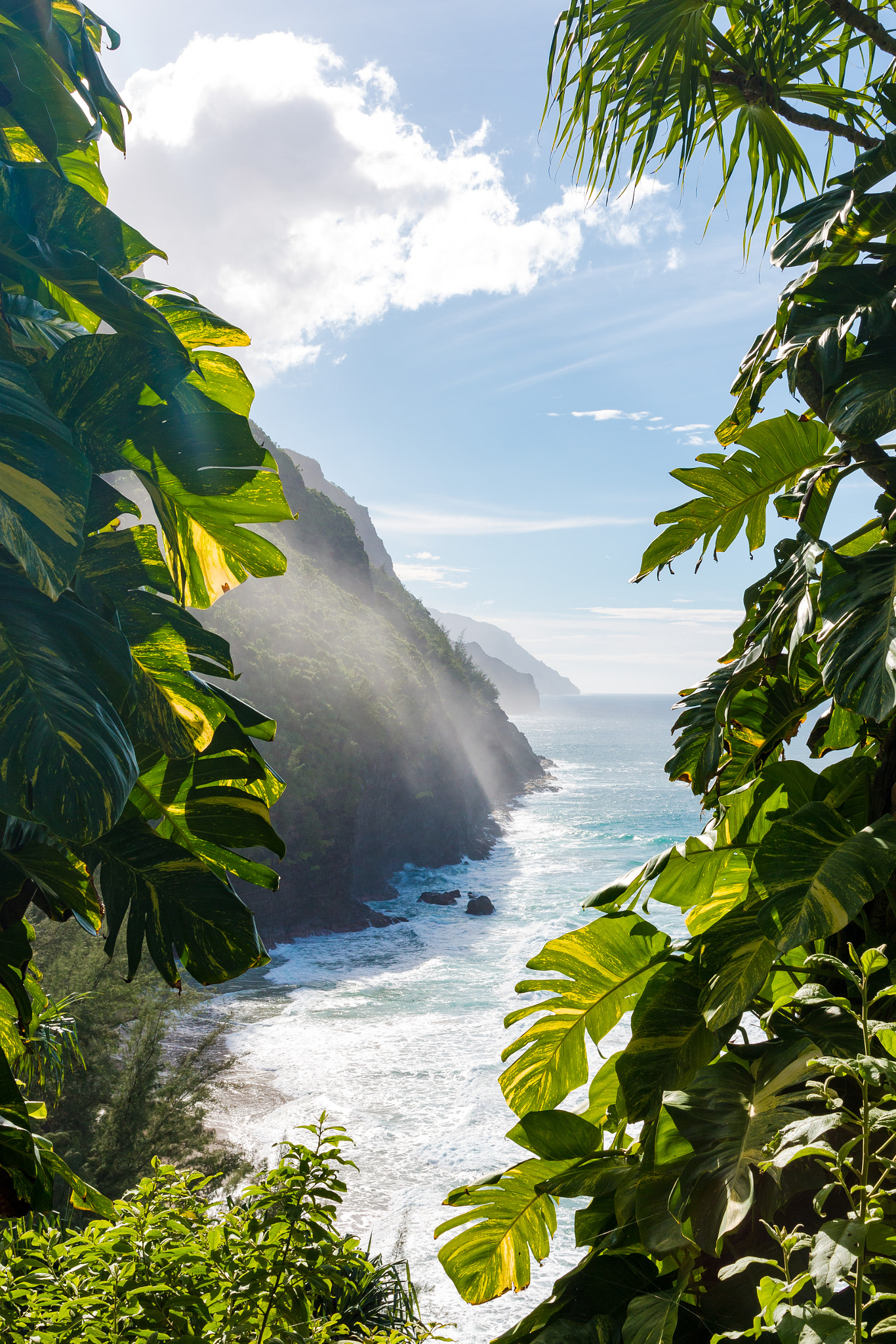Canon EF 24-70mm F4L IS USM sample photo. Hawaii photography