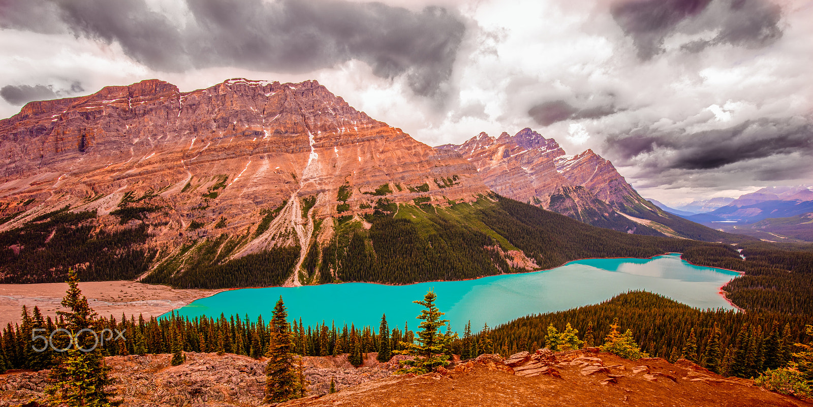 Canon EOS 5DS R + Canon EF 16-35mm F4L IS USM sample photo. Peyto lake pano photography