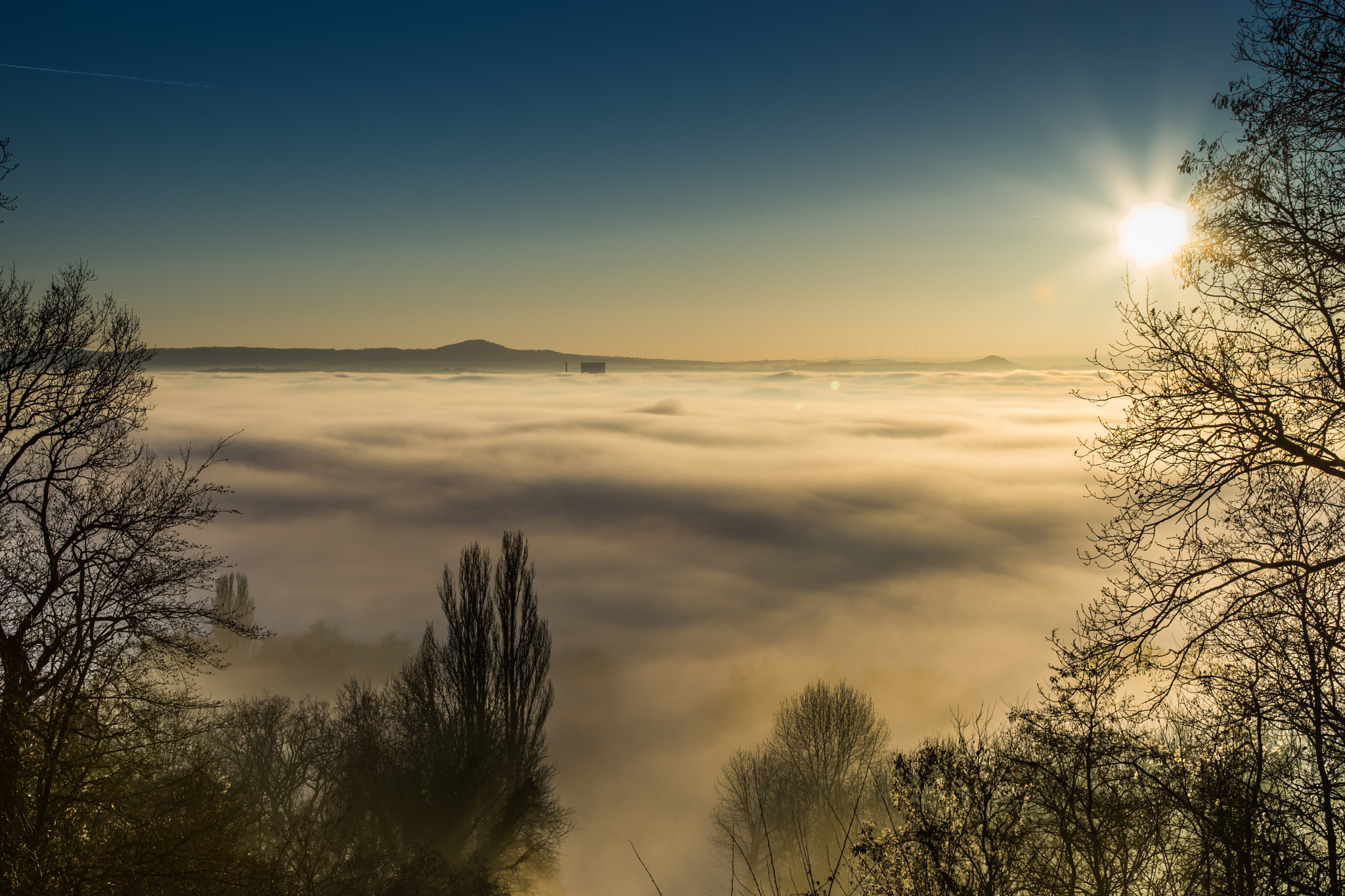 Sony a6000 + Canon EF 24-105mm F4L IS USM sample photo. Nebel über neuwied photography