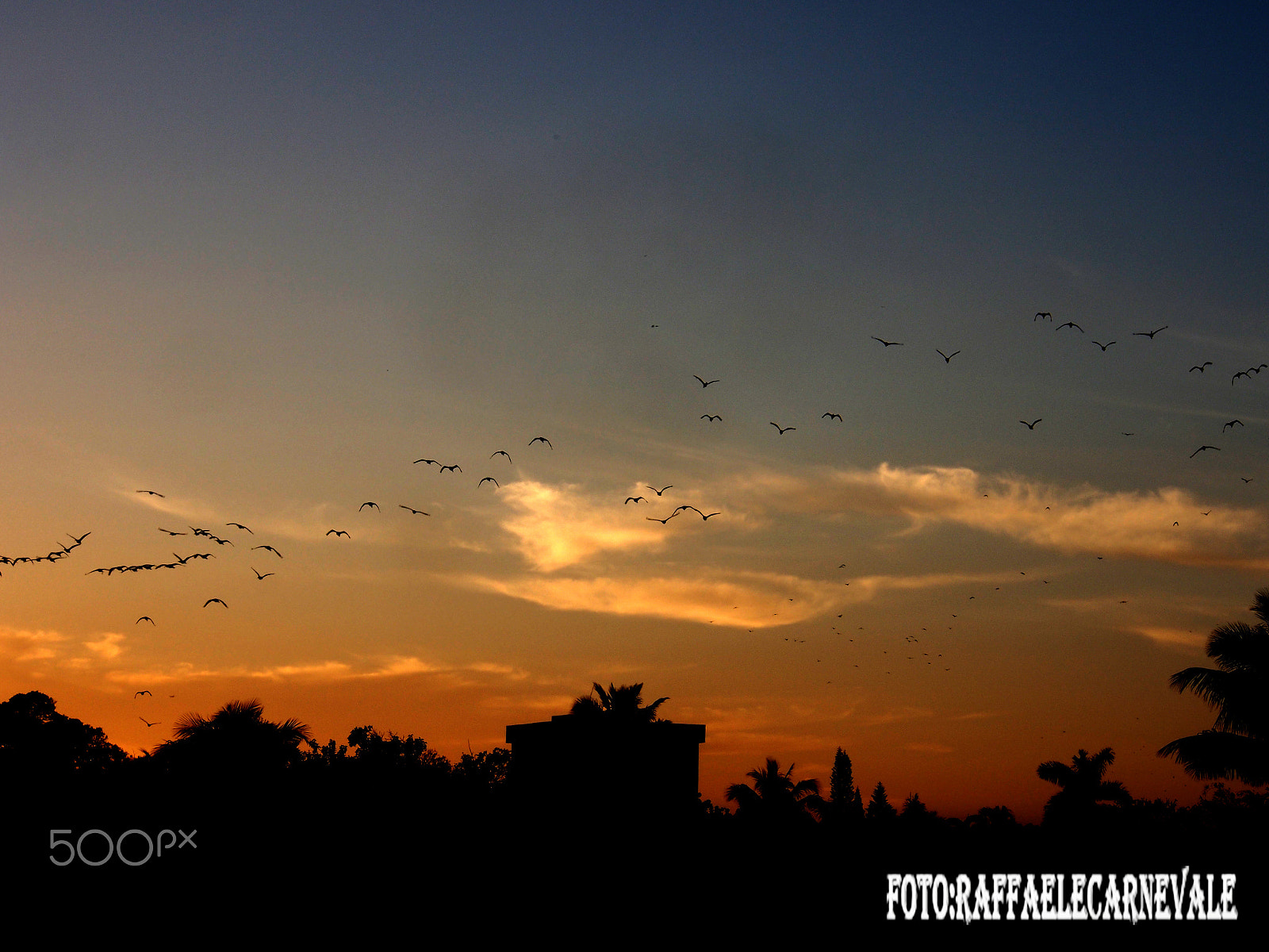 Olympus OM-D E-M5 sample photo. Tramonto a miami photography