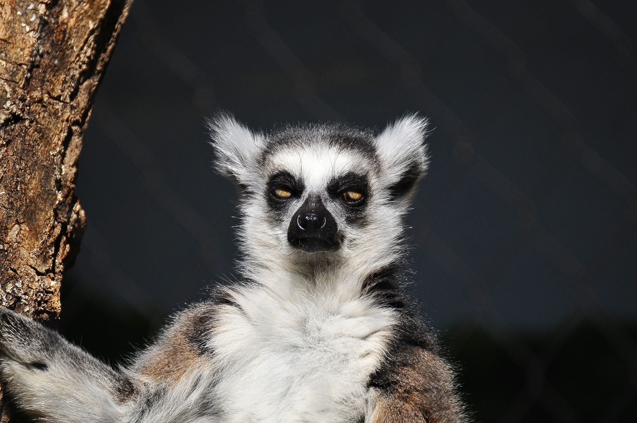 Nikon D300 sample photo. Go away, nothin to see here photography