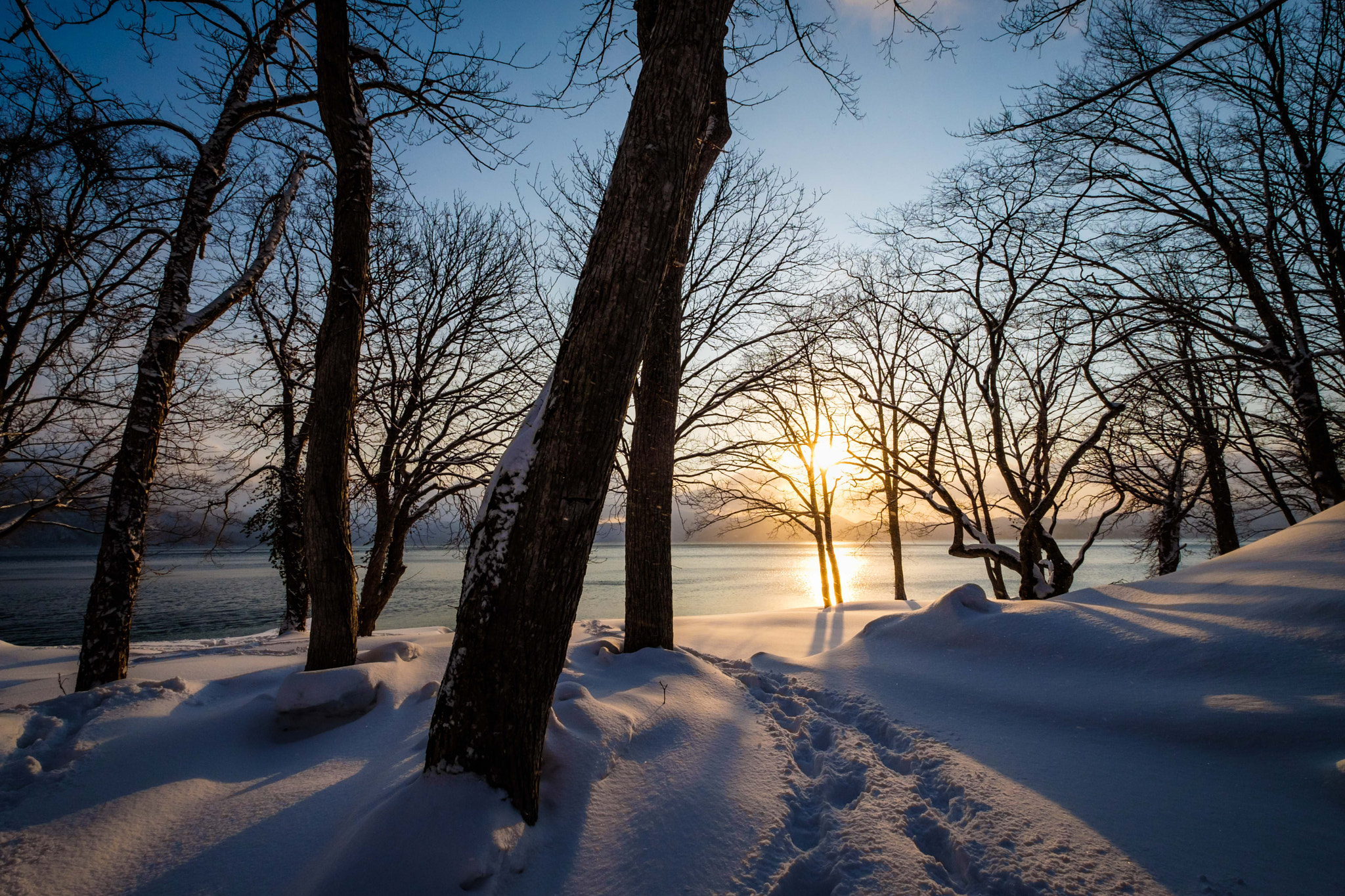 Fujifilm X-T2 + Fujifilm XF 10-24mm F4 R OIS sample photo. Walk in the new snow photography