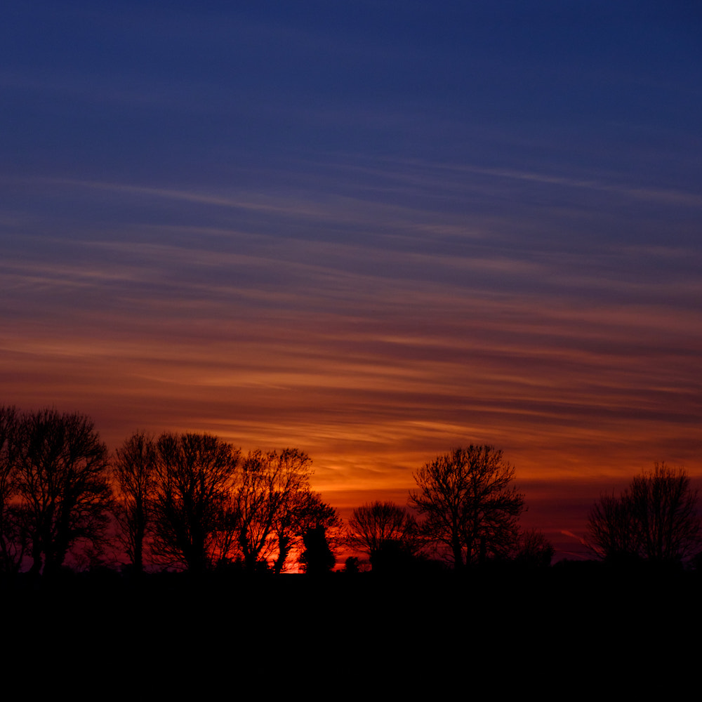 Fujifilm XC 16-50mm F3.5-5.6 OIS II sample photo. Red sky tree line photography