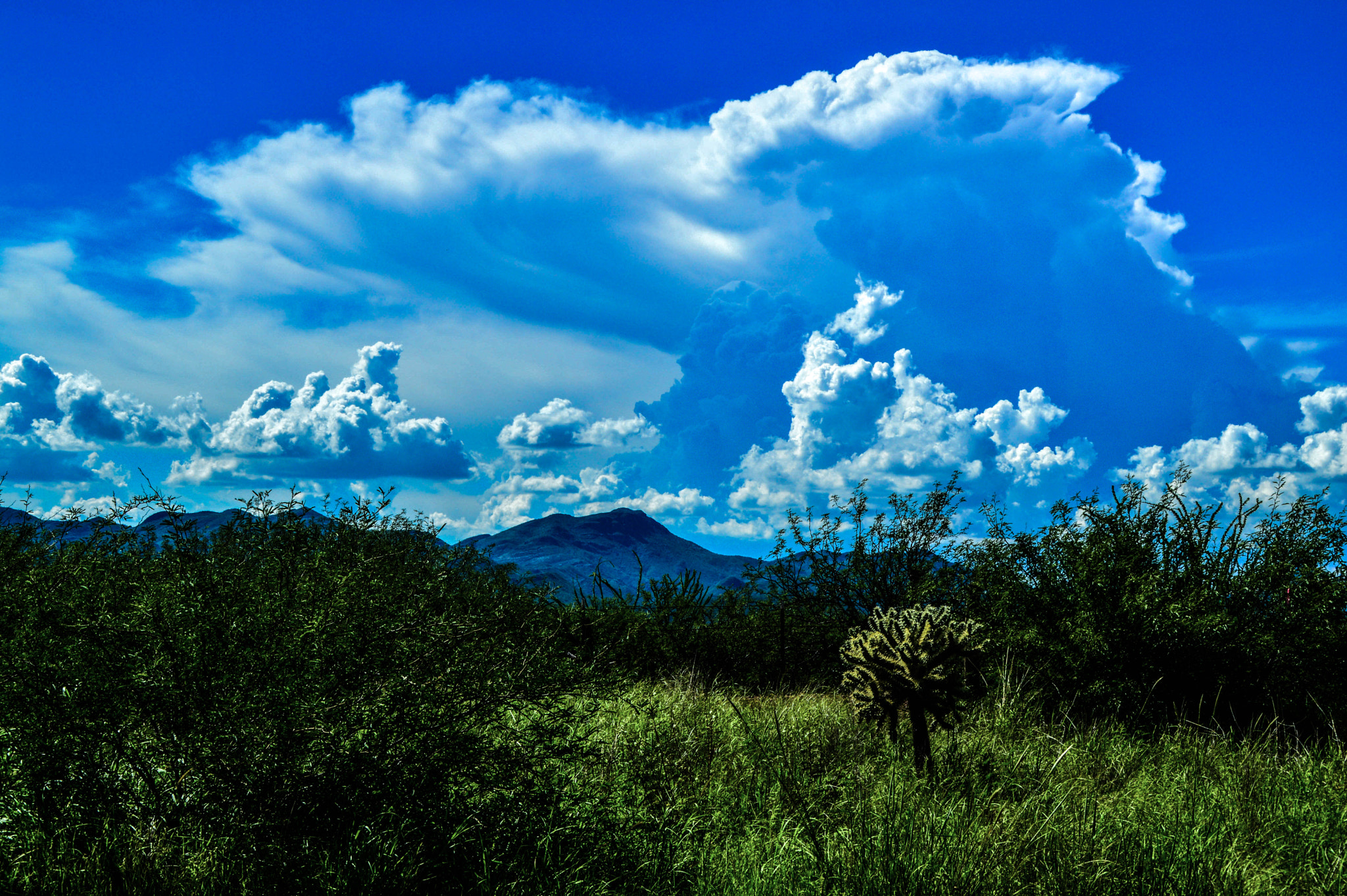 Nikon D3200 sample photo. Mexico sonora nayarit arizona photography