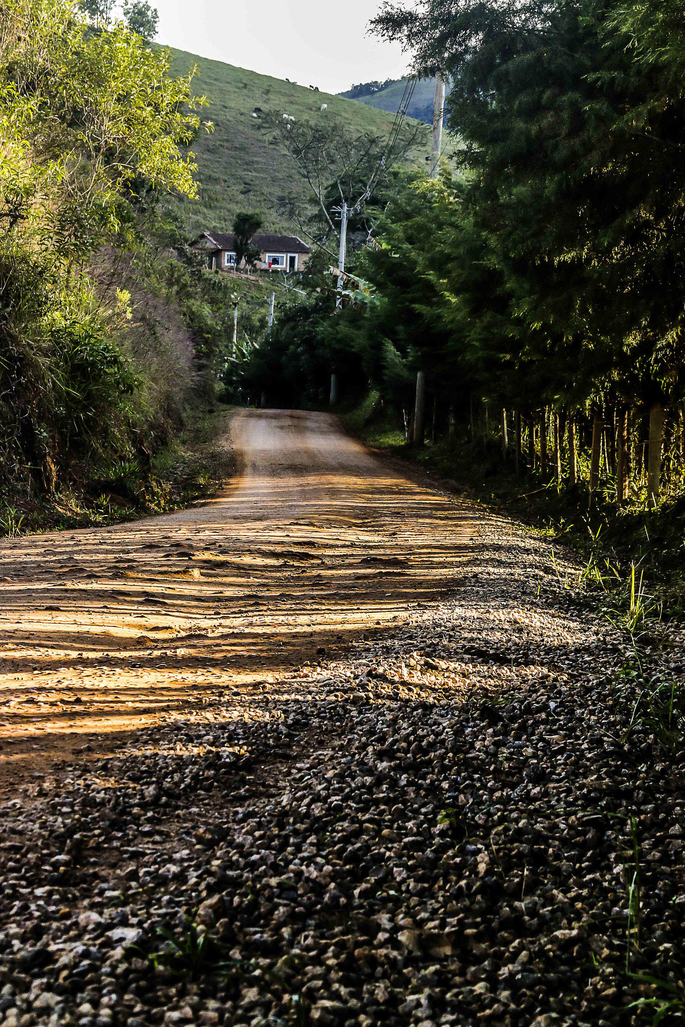 Canon EF 28-135mm F3.5-5.6 IS USM sample photo. Estrada de pedras. photography