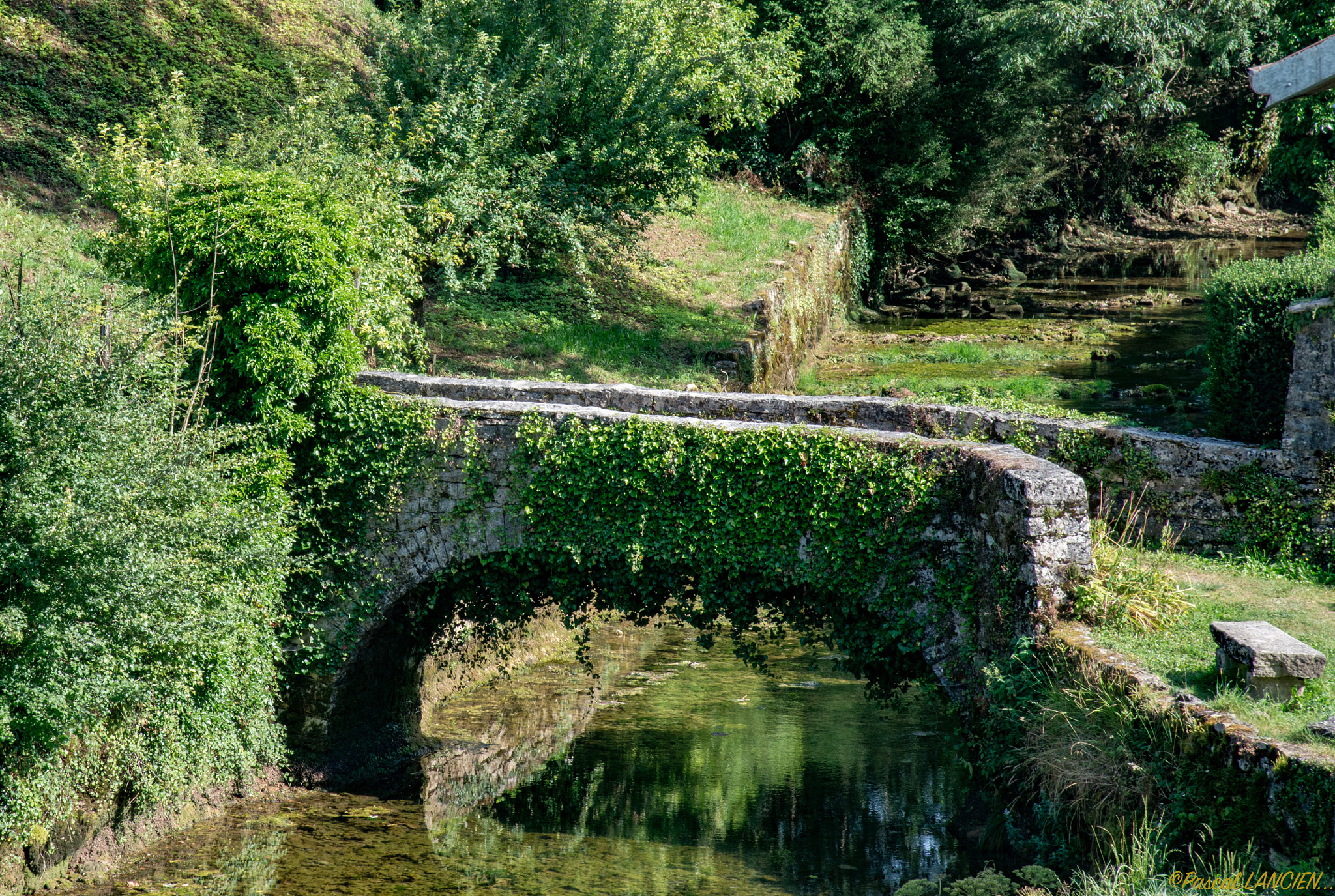 Nikon AF-S Nikkor 24-120mm F4G ED VR sample photo. Bridge aline photography