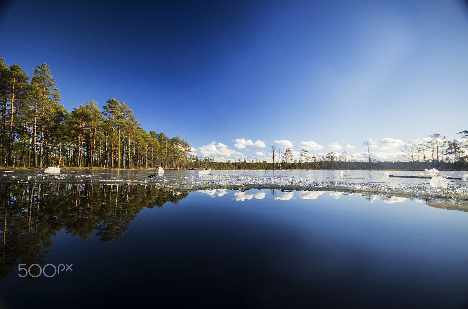 Pentax K-5 + Sigma AF 10-20mm F4-5.6 EX DC sample photo. Reflected swamp photography