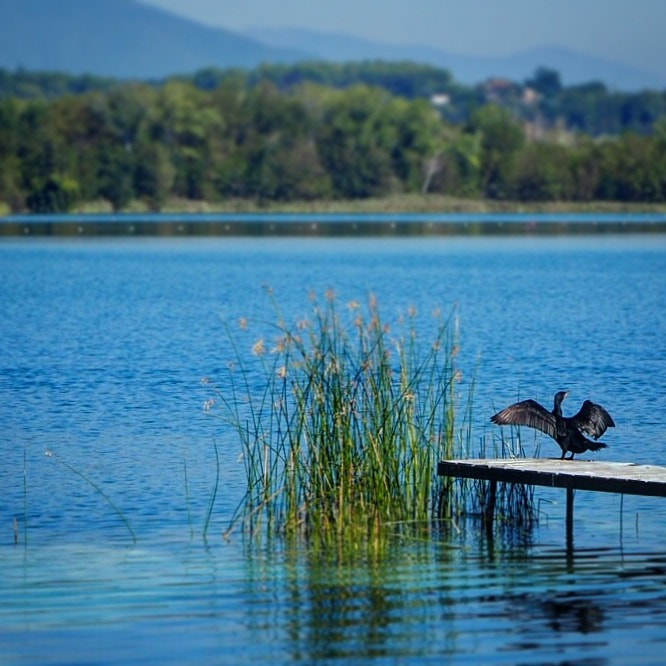 Olympus OM-D E-M5 II sample photo. Llac de banyoles photography