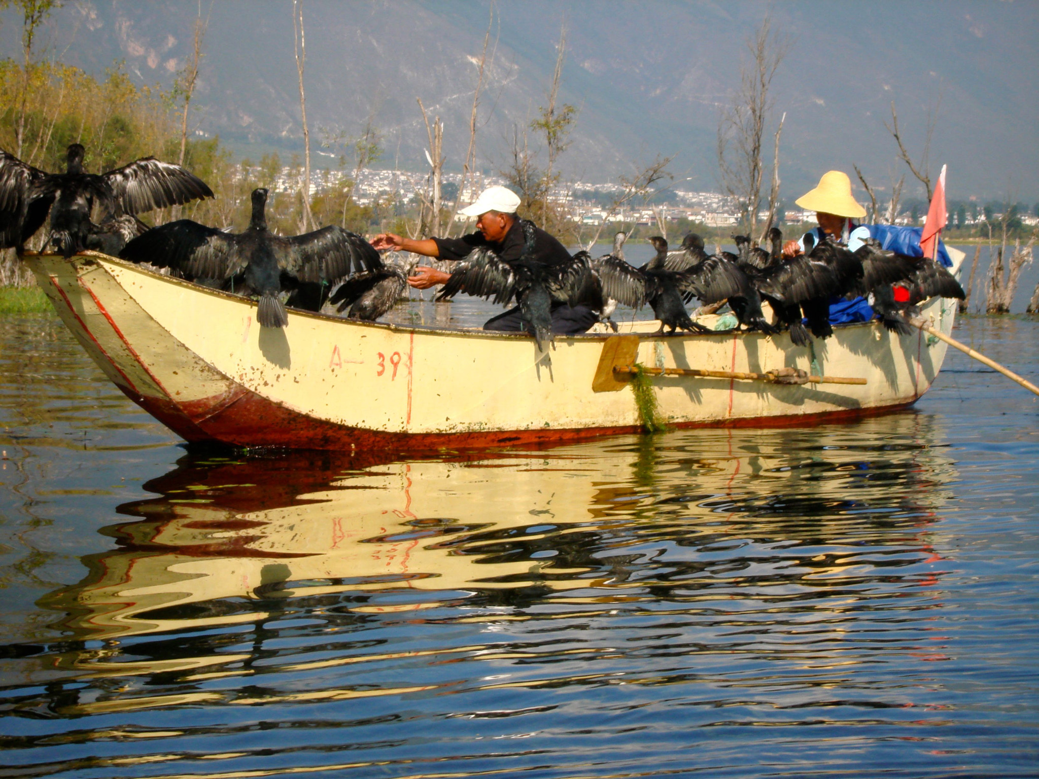 Sony DSC-W100 sample photo. Cormorant fisherman, china photography
