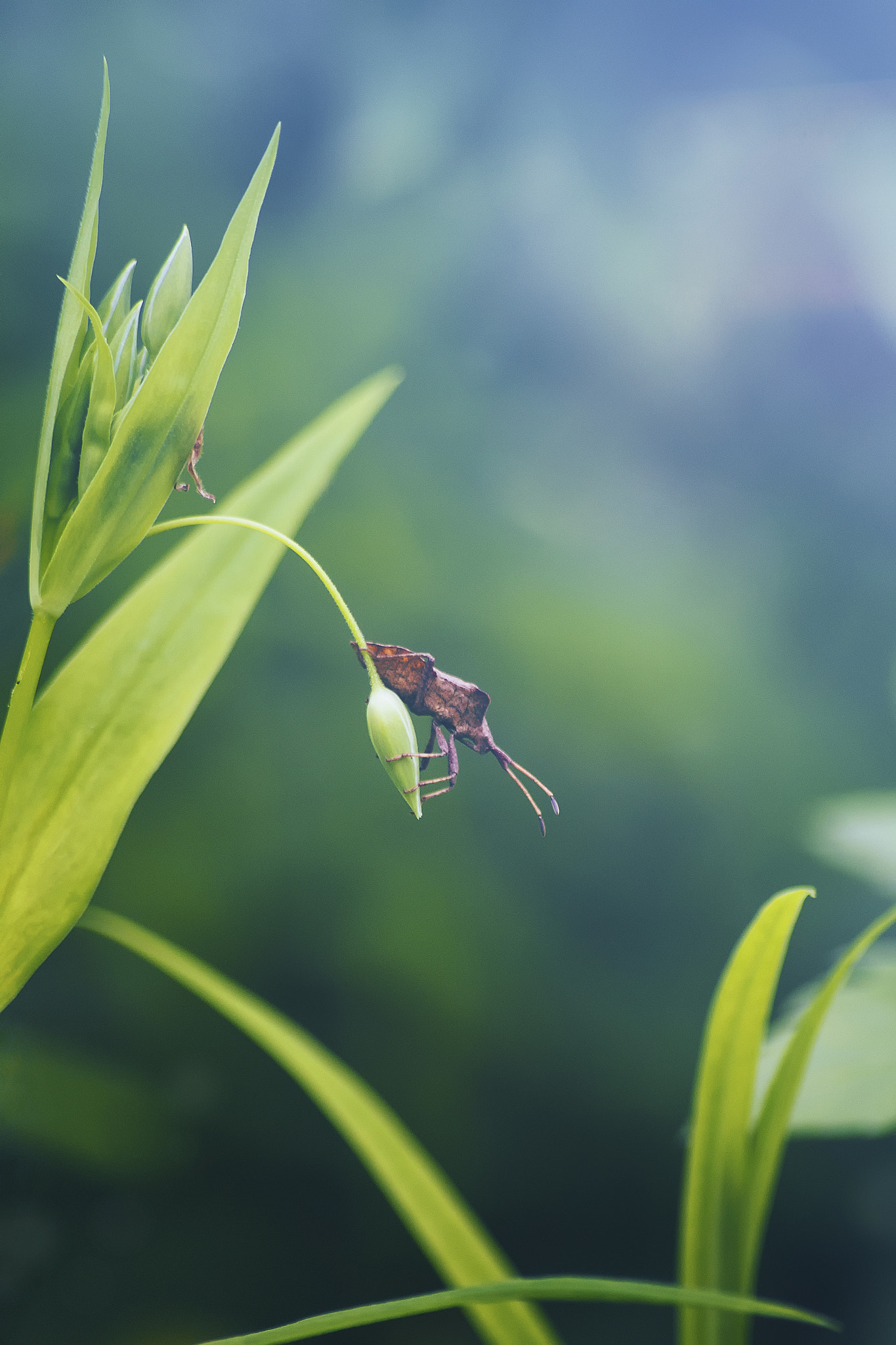 Canon EOS 60D sample photo. () photography