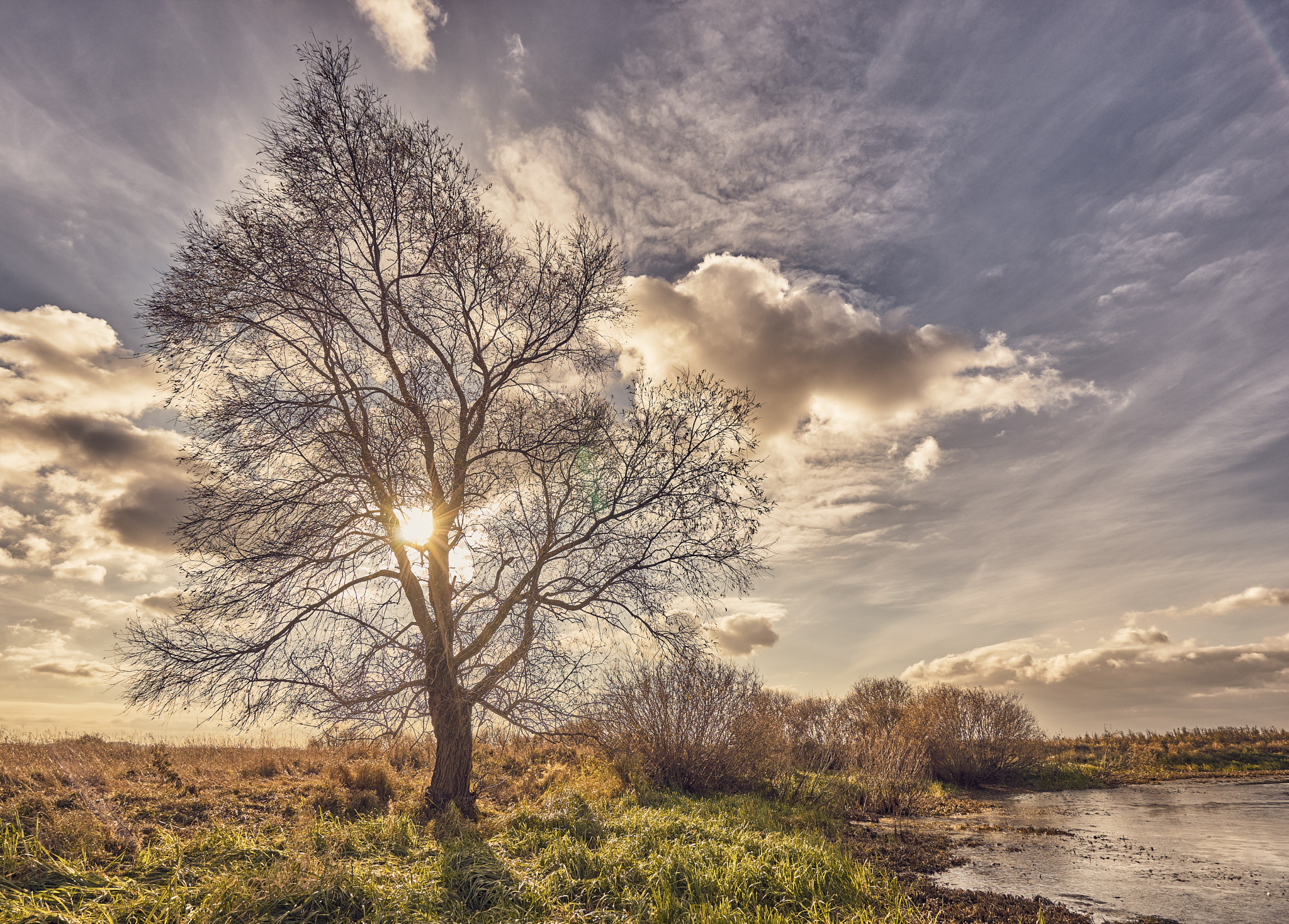 Sony a7 sample photo. Autumn colors photography