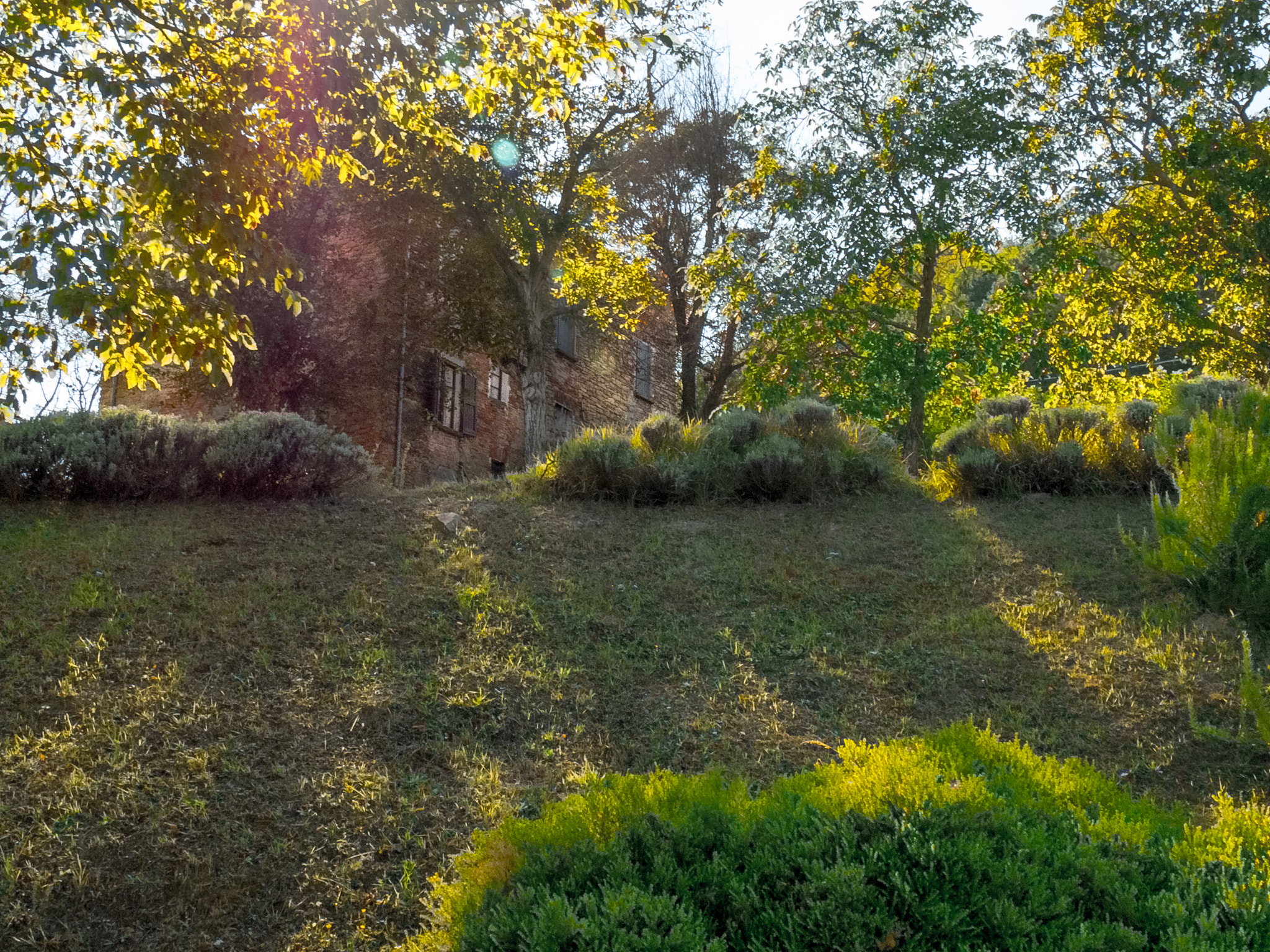 Panasonic Lumix DMC-G6 sample photo. Rays of sun photography