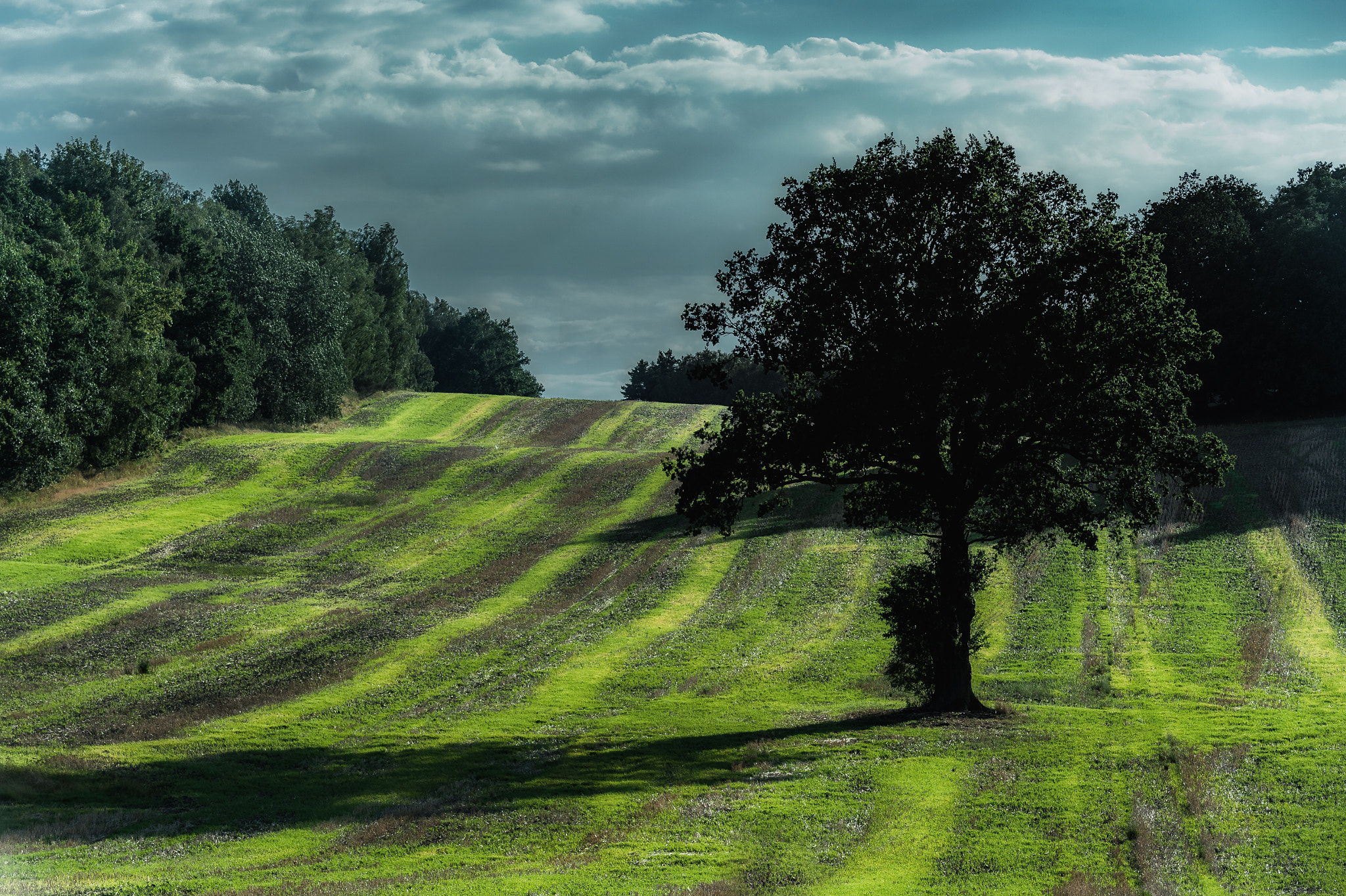 Nikon D4 sample photo. Summer landscape photography