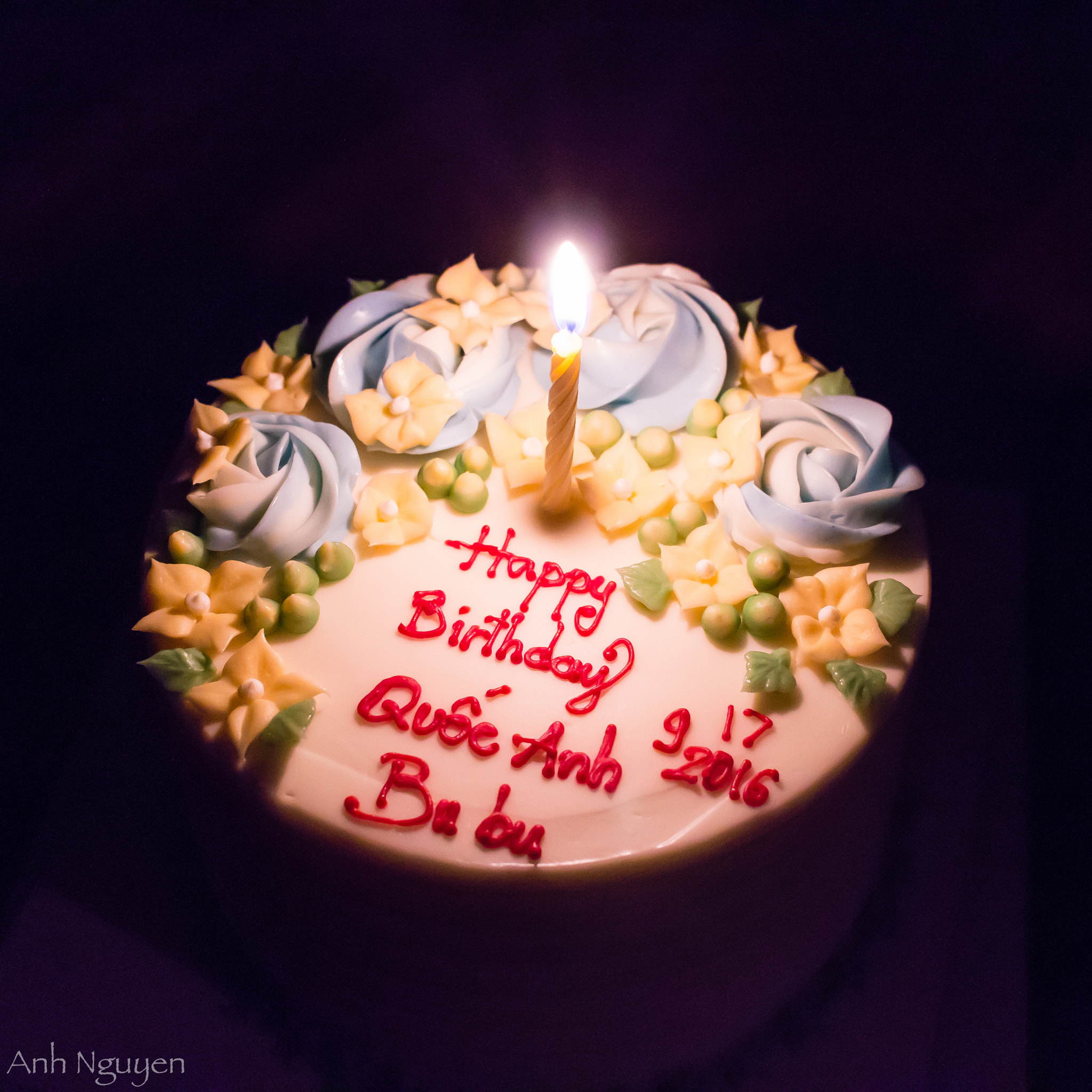 Canon EF-S 24mm F2.8 STM sample photo. Birthday cake photography