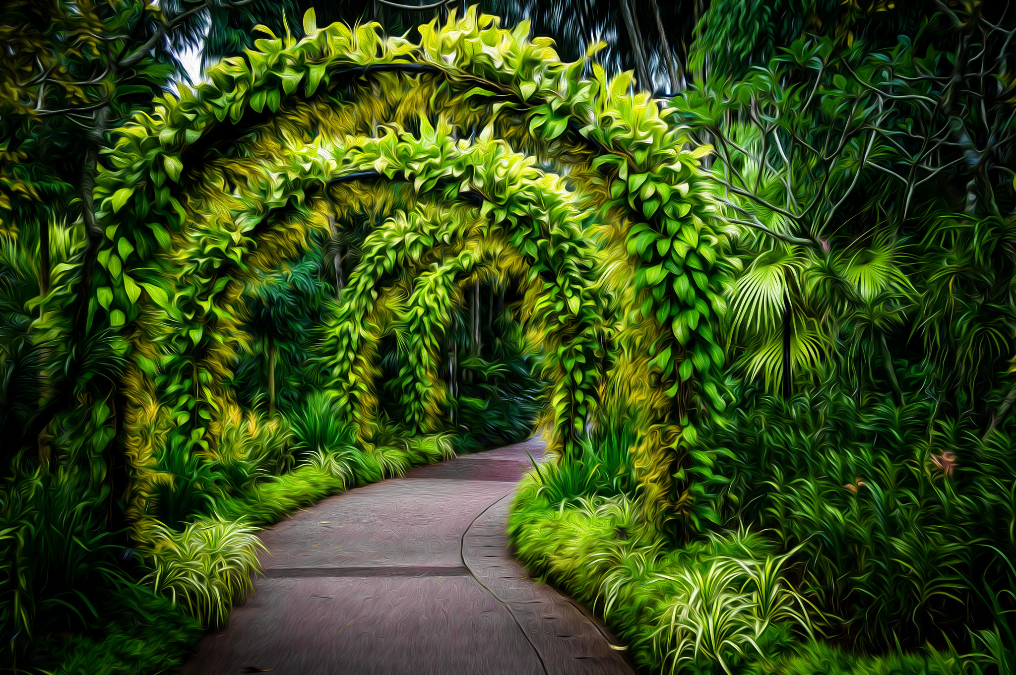 Sony DT 16-105mm F3.5-5.6 sample photo. Mystic way photography