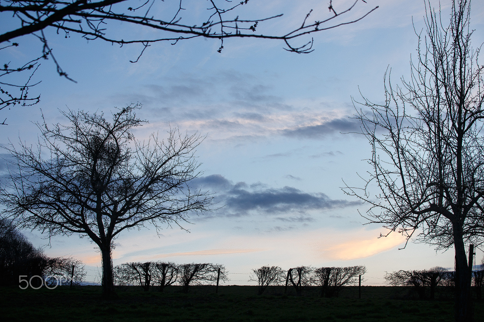 Canon EF 70-300mm F4-5.6L IS USM sample photo. Spring at twilight photography