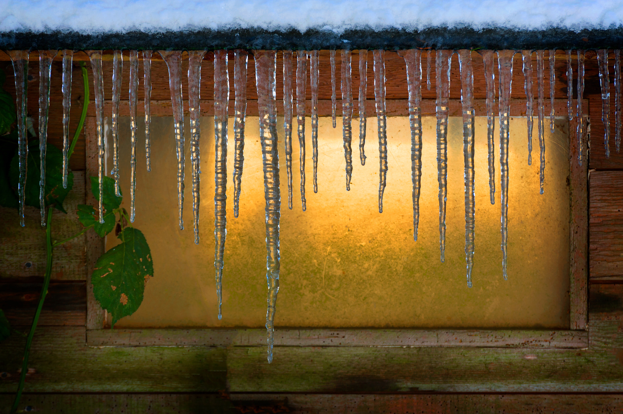 Nikon D700 sample photo. Winters last gasp photography