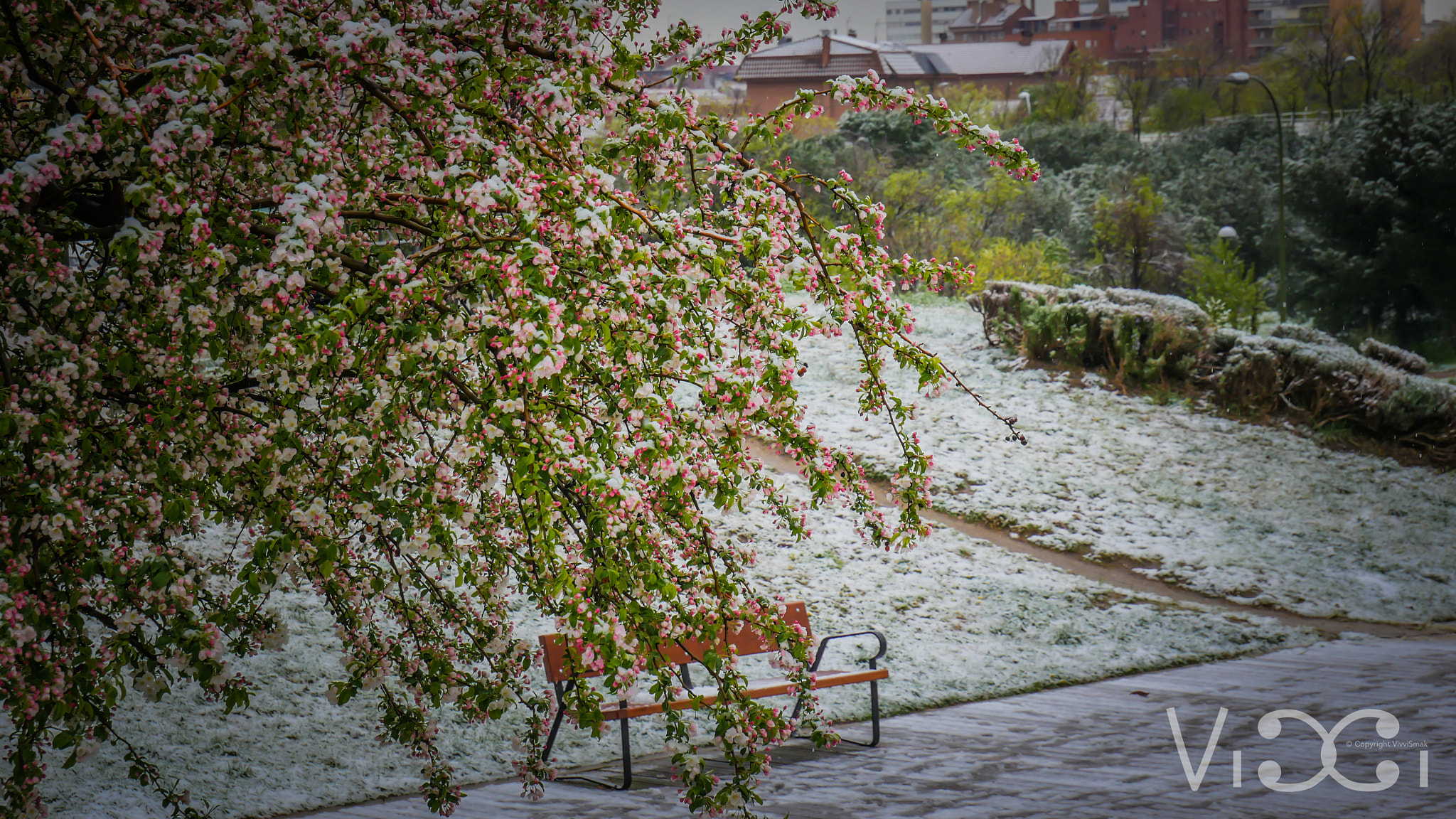 Panasonic Lumix DMC-GH4 + LUMIX G VARIO 12-60/F3.5-5.6 sample photo. Snowy spring photography