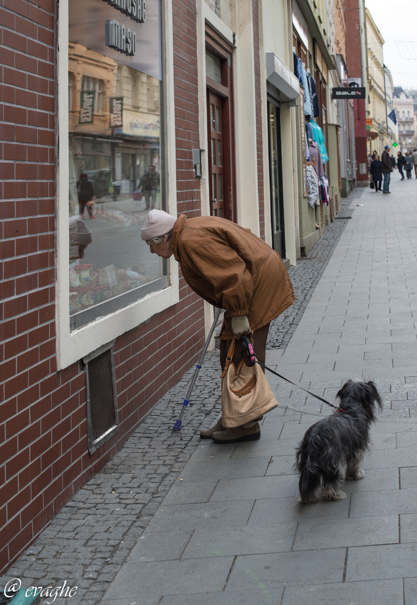 Nikon D610 + Nikon AF-S Nikkor 50mm F1.4G sample photo. La vecchia signora photography