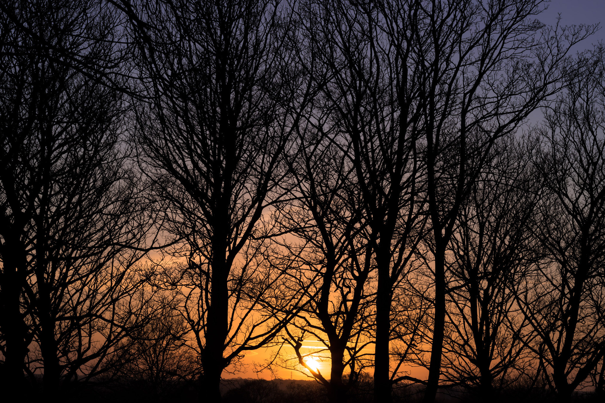 Nikon D5500 + Nikon AF-S Nikkor 50mm F1.8G sample photo. Triple colour sky photography