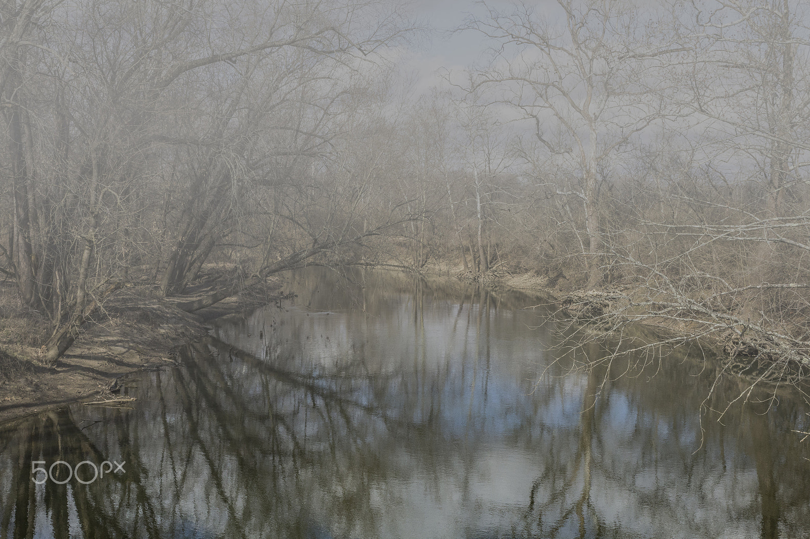 Canon EOS 60D + Sigma 24-70mm F2.8 EX DG Macro sample photo. Foggy morning photography