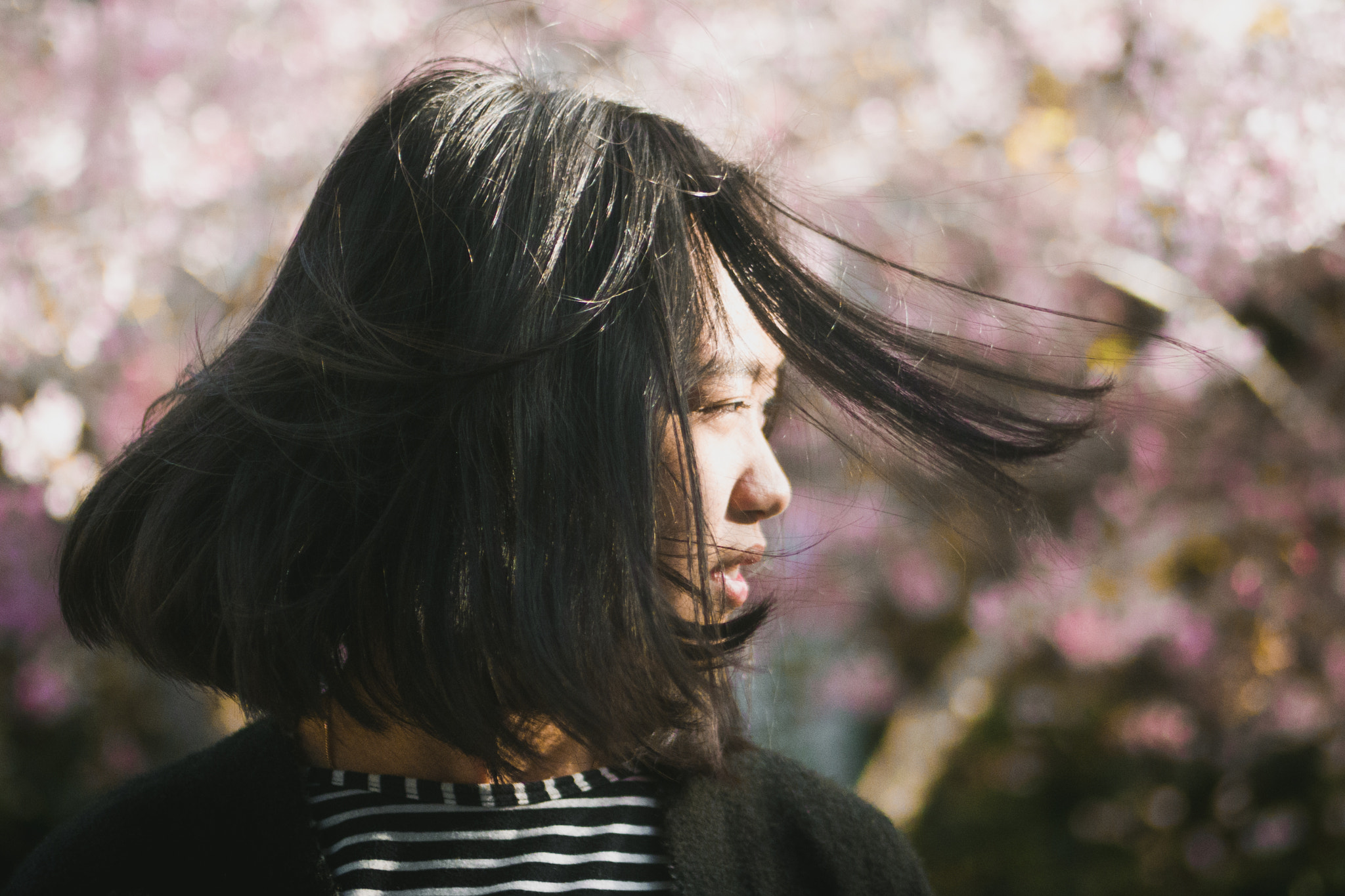 Panasonic Lumix G 42.5mm F1.7 ASPH Power OIS sample photo. Fade photography