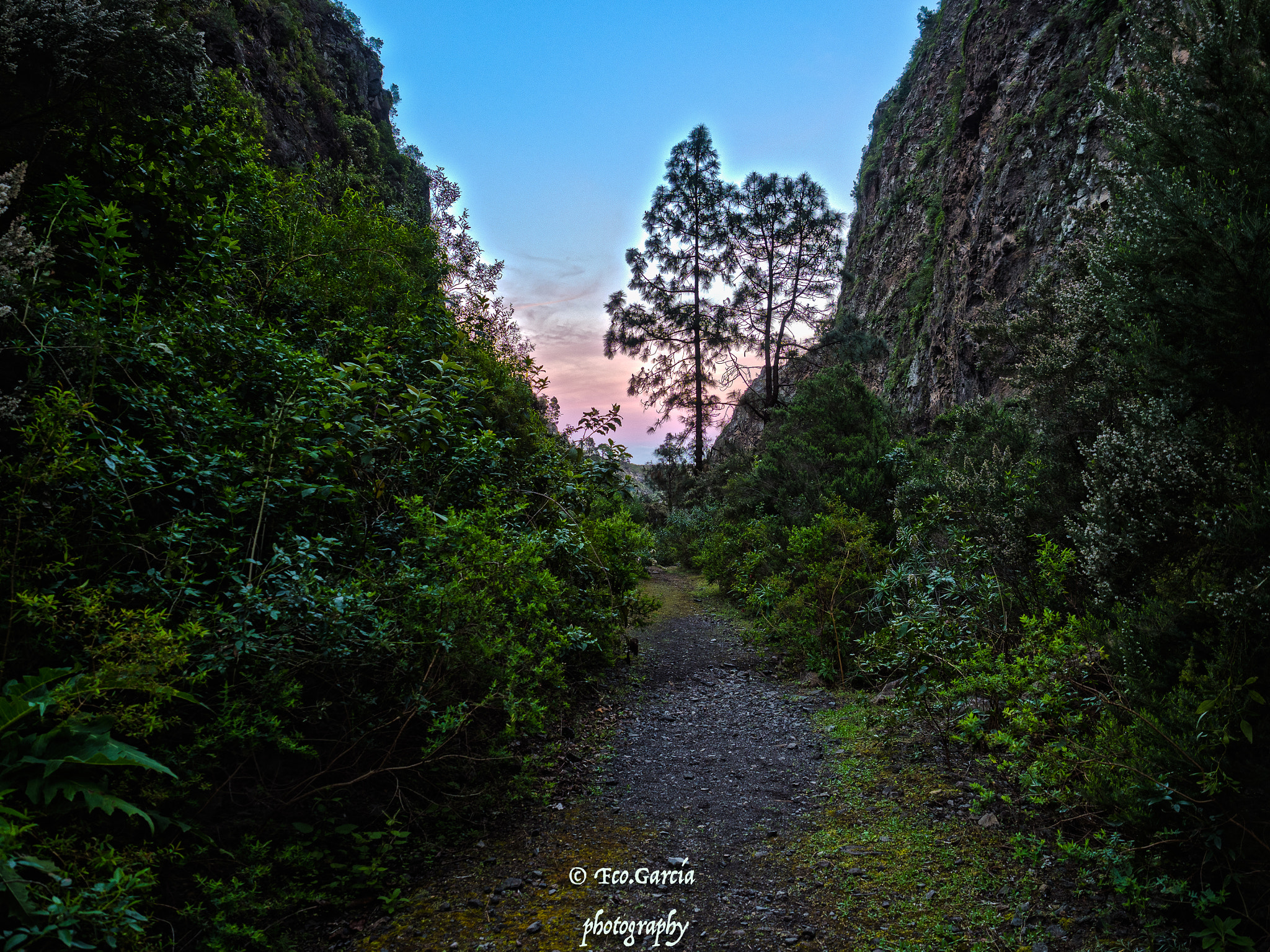 Olympus OM-D E-M1 Mark II + Olympus M.Zuiko Digital ED 12-40mm F2.8 Pro sample photo. Foto del famoso y místico barranco de badajoz , güimar photography