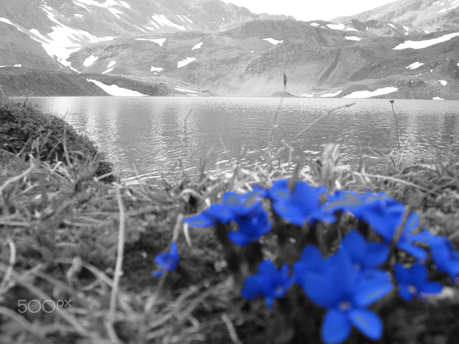 Canon PowerShot SD780 IS (Digital IXUS 100 IS / IXY Digital 210 IS) sample photo. Primavera non bussa, lei entra sicura photography