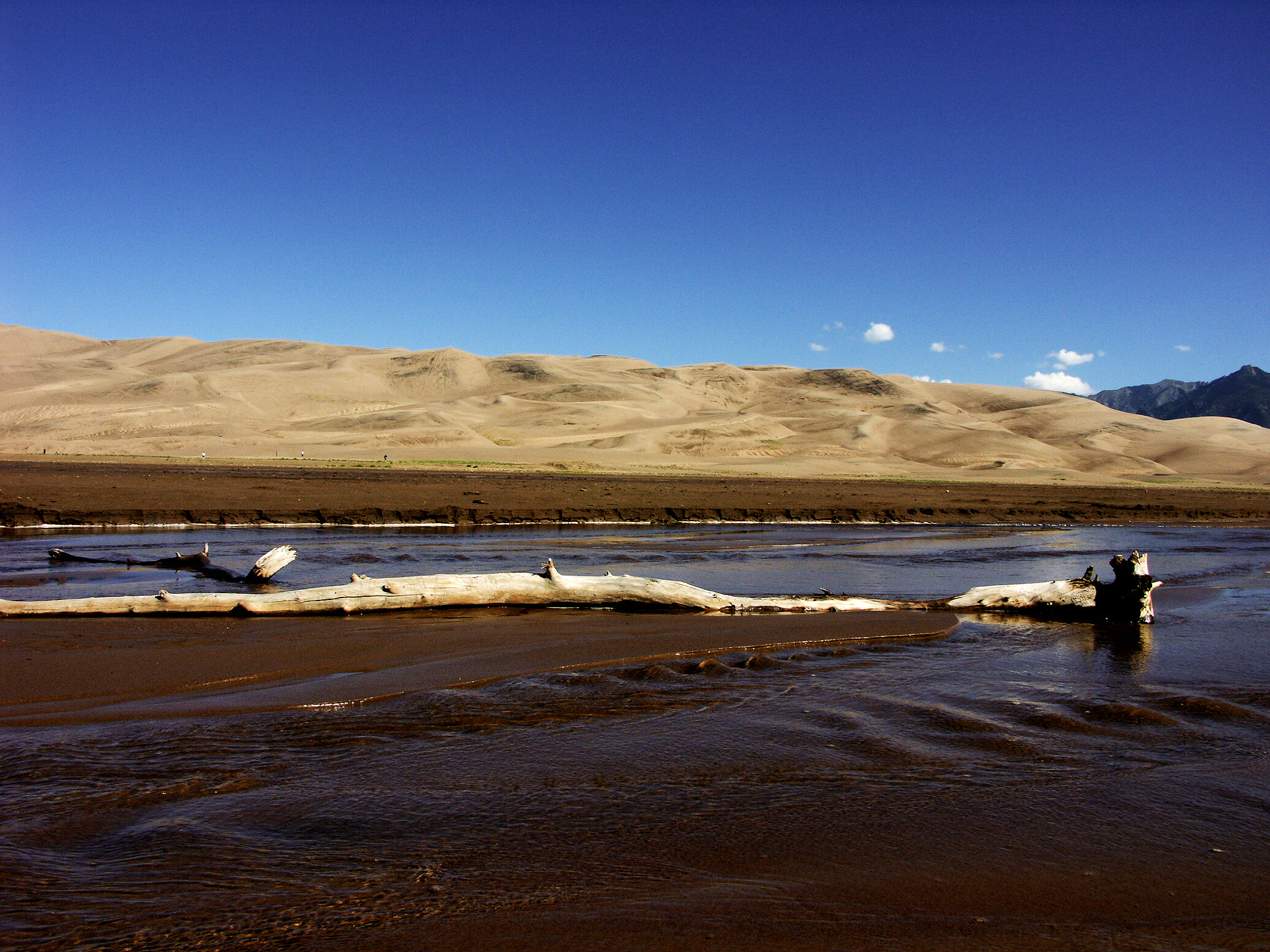 KONICA MINOLTA DiMAGE A2 sample photo. Colorado great sand dunes photography