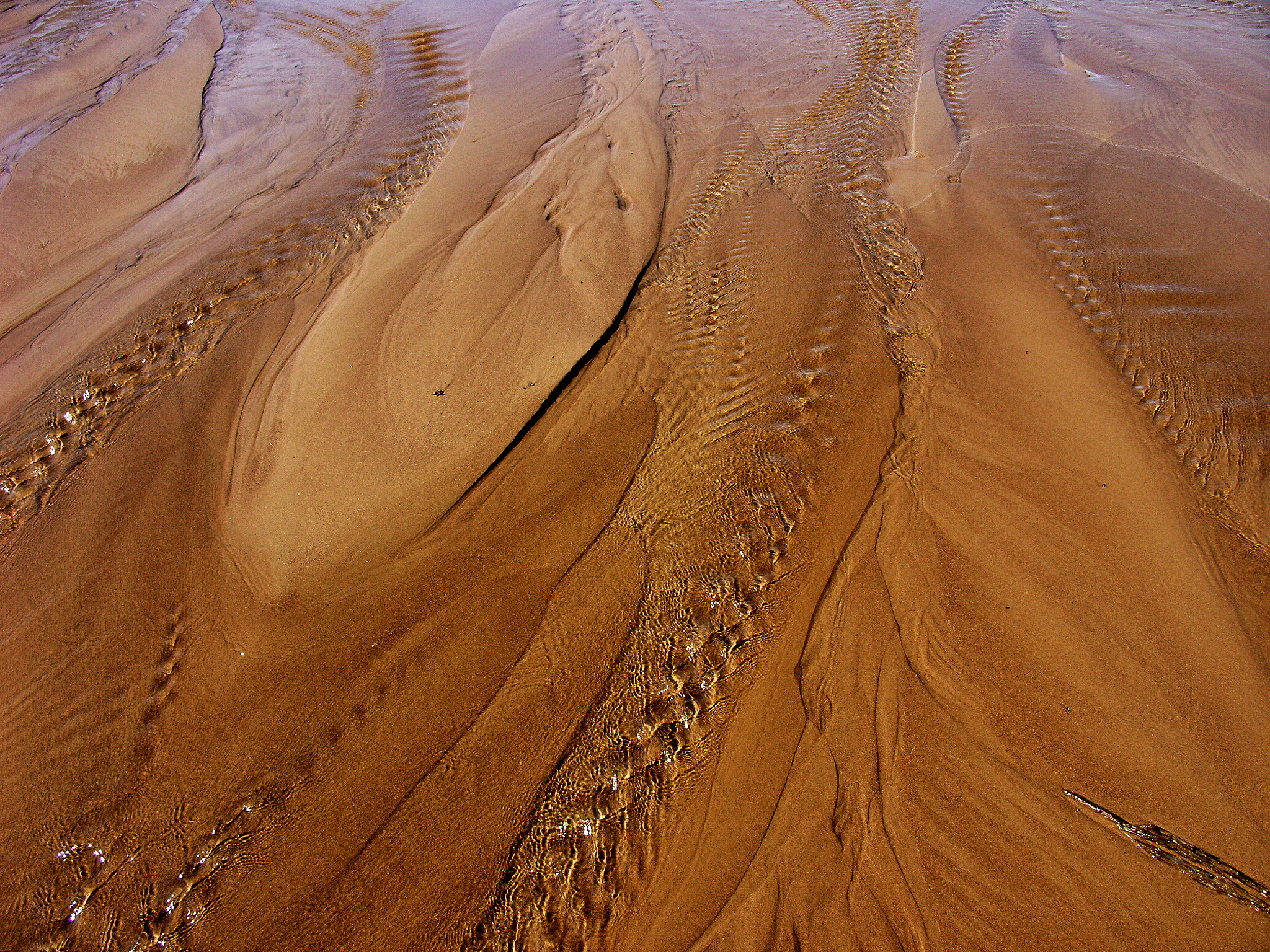 KONICA MINOLTA DiMAGE A2 sample photo. Colorado great sand dunes photography