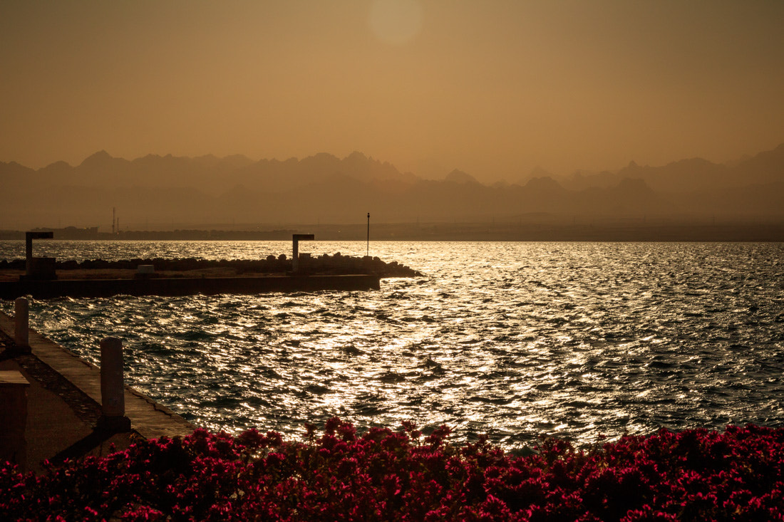 Canon EOS 760D (EOS Rebel T6s / EOS 8000D) + Canon EF 24-105mm F4L IS USM sample photo. Egypt photography