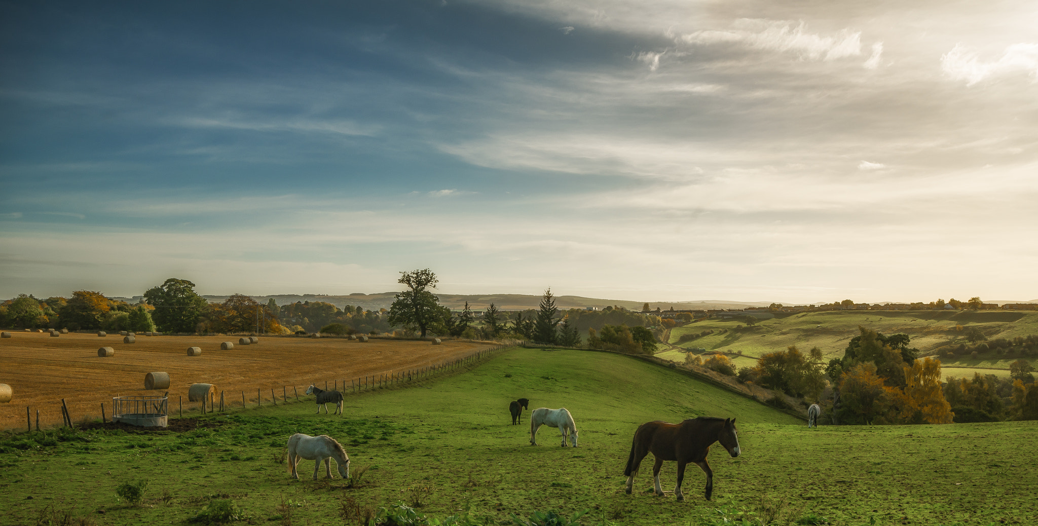Sigma AF 10-20mm F4-5.6 EX DC sample photo. Midlothian countryside photography